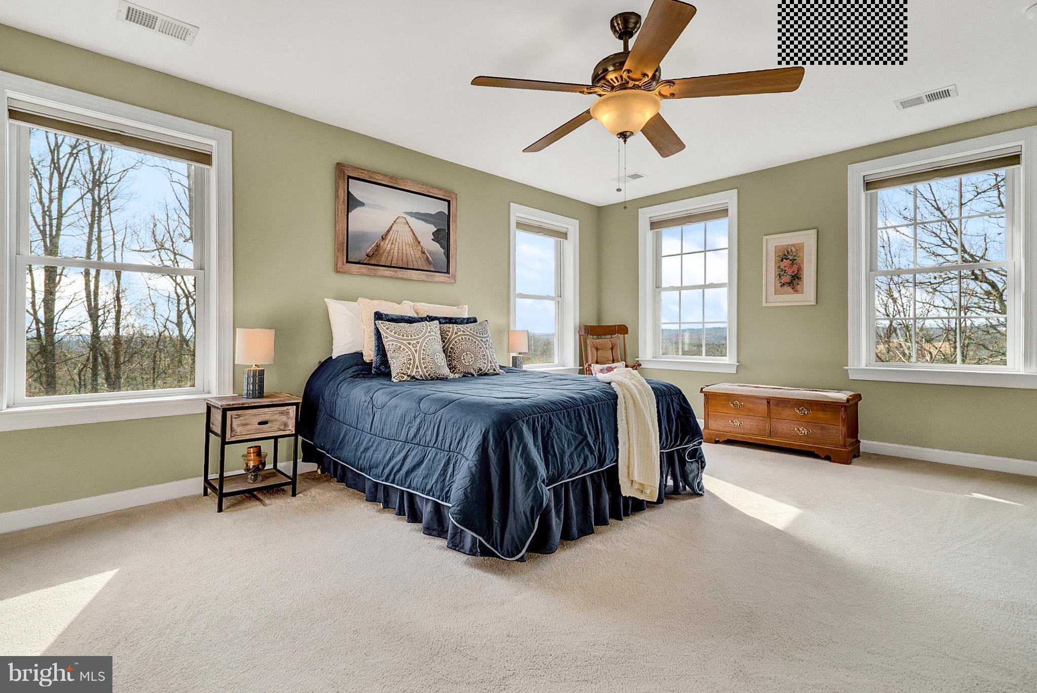 5871 Wilson Road Marshall, VA 20115 - Photo 25 of 30 Bedroom (Master)