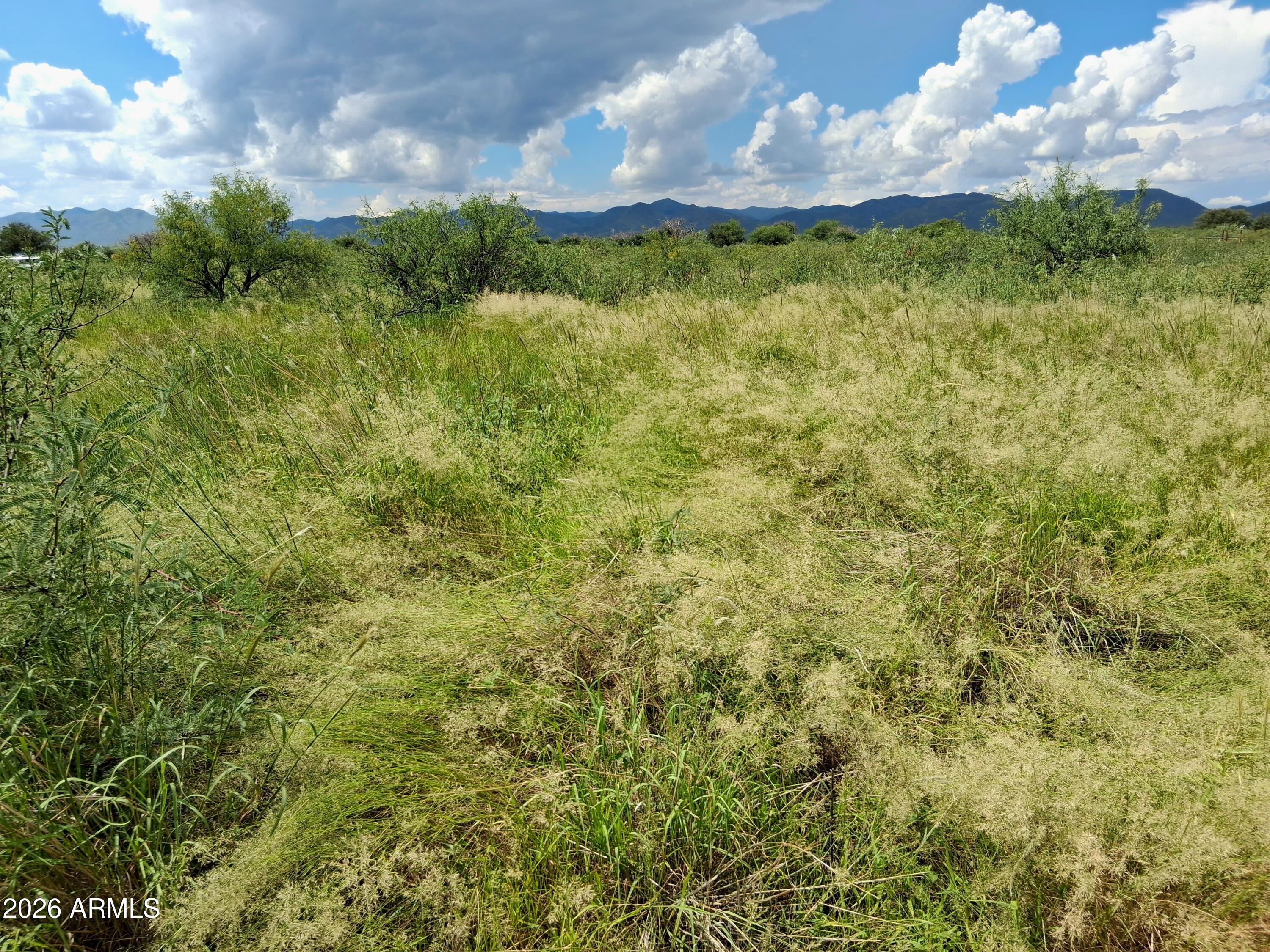 8899 North Roughrider Road McNeal, AZ 85617 - Photo 36 of 38 20260902_110506