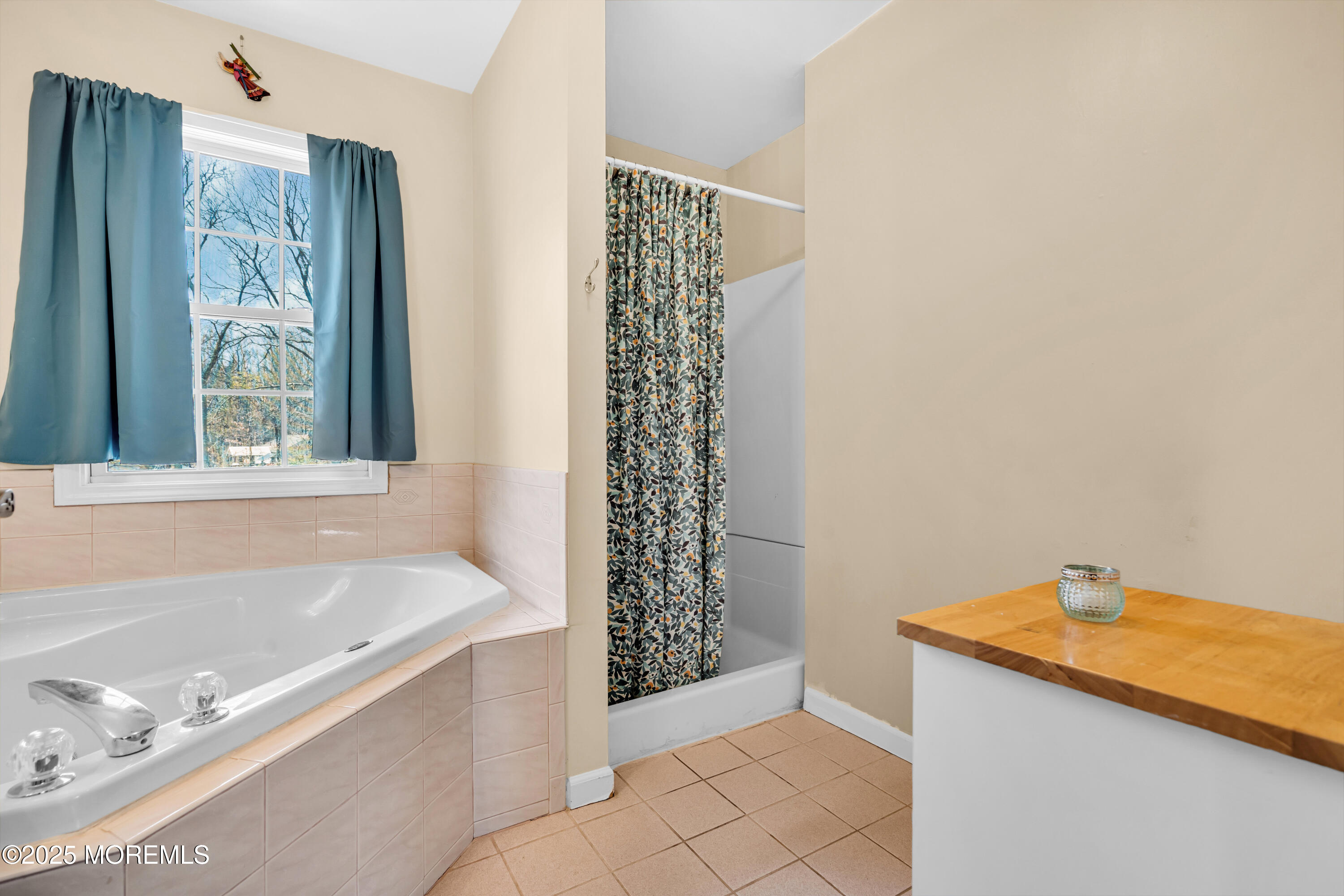 159 Docare Road Jackson, NJ 08527 - Photo 23 of 31 023_dsc01352_180