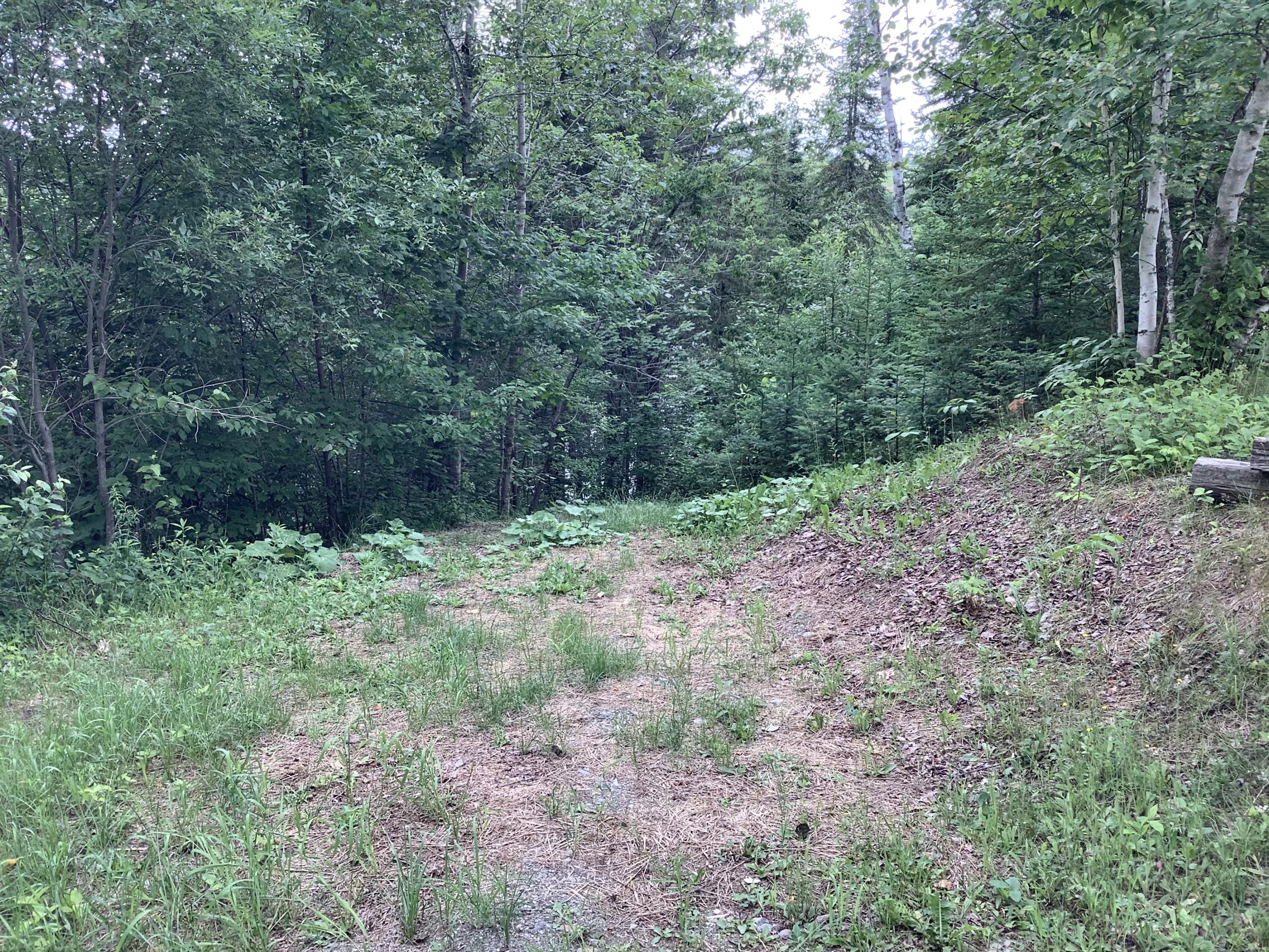 1780 Hamlin Road Van Buren, ME 04785 - Photo 20 of 61 49147643-9EF9-4484-9237-B469578D4C38