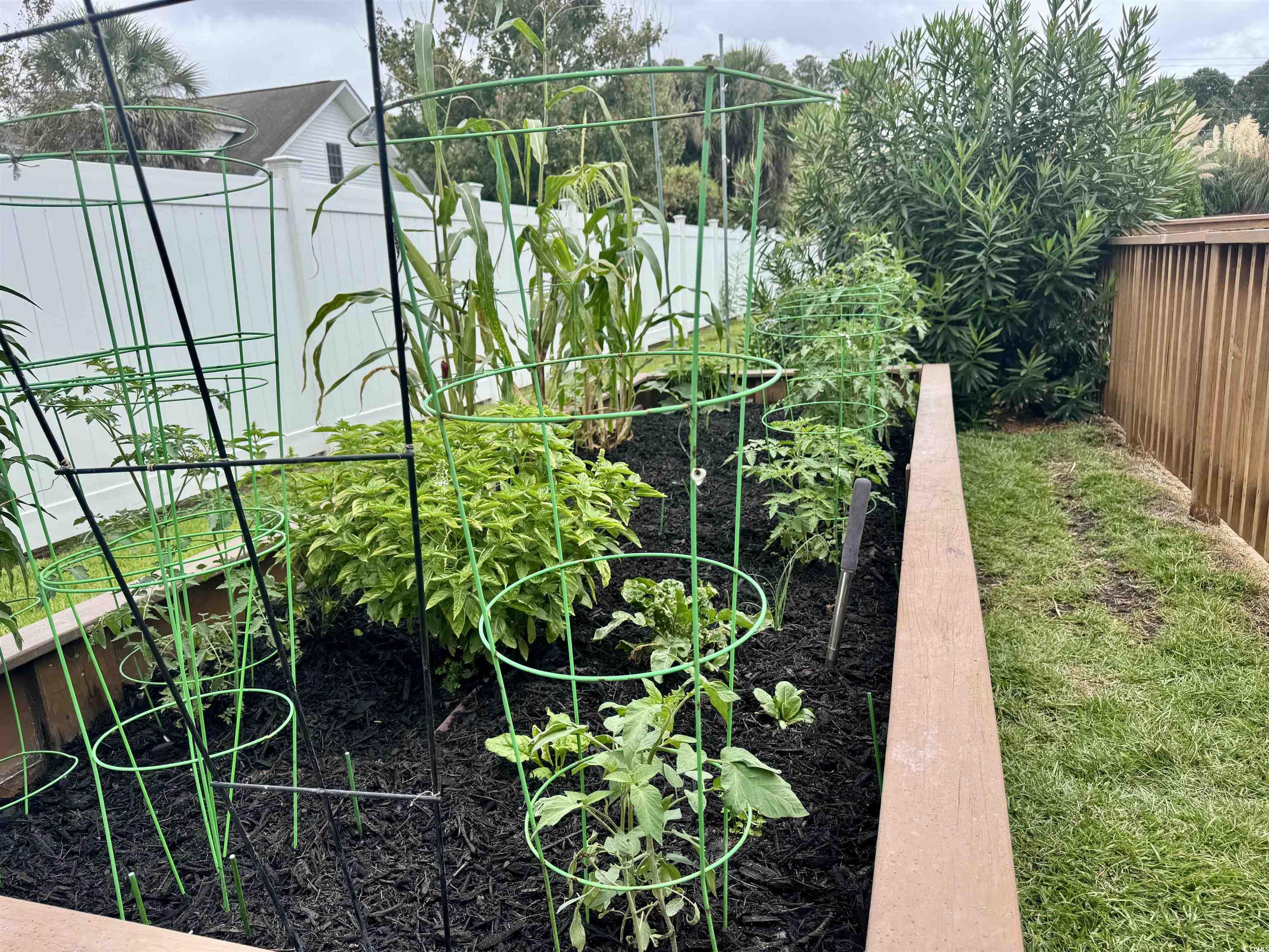 212 Duchess Court Myrtle Beach, SC 29588 - Photo 31 of 40 Fenced backyard with a garden