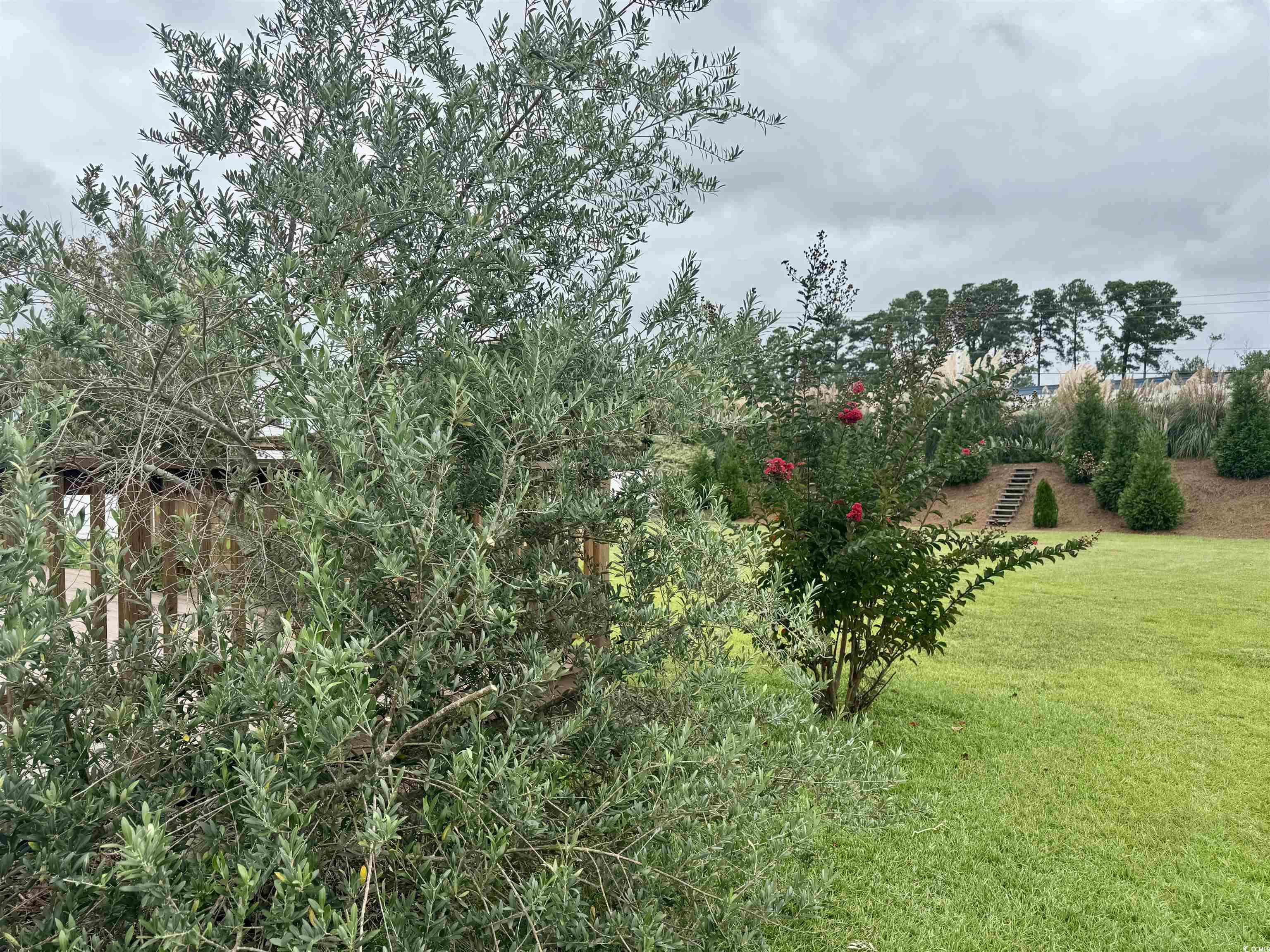 212 Duchess Court Myrtle Beach, SC 29588 - Photo 32 of 40 View of green lawn