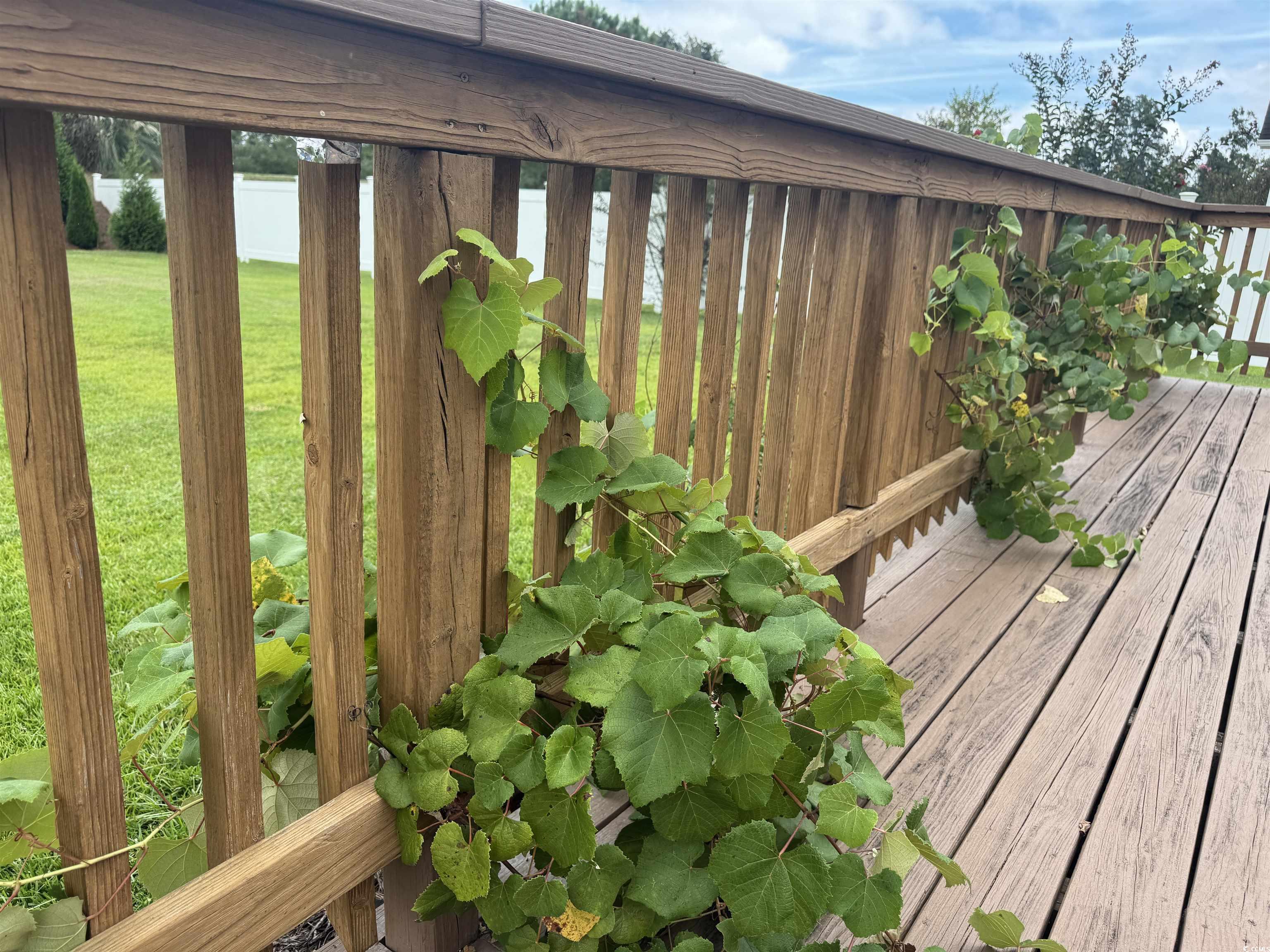212 Duchess Court Myrtle Beach, SC 29588 - Photo 34 of 40 View of deck