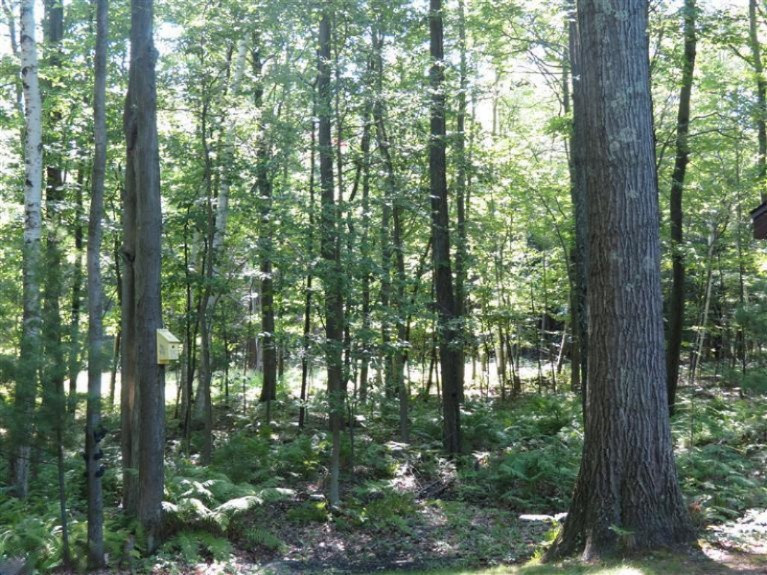 4784 North Ridge Road Mears, MI 49436 - Photo 24 of 24 Additional Photo