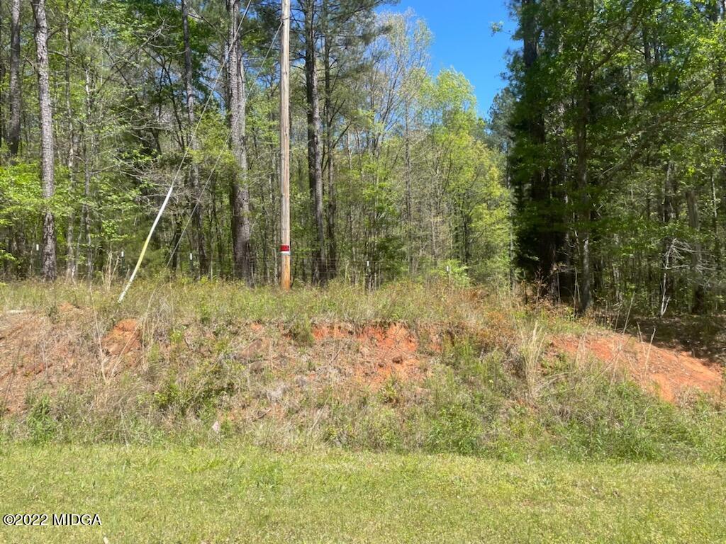 404 Old Scout Road Jackson, GA 30233 - Photo 13 of 13 a view of a forest with a tree
