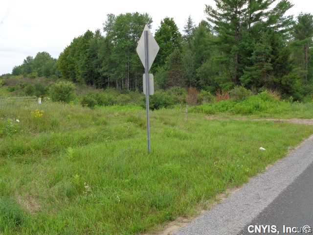 1 Brantingham Road Greig, NY 13345 - Photo 1 of 1 Land