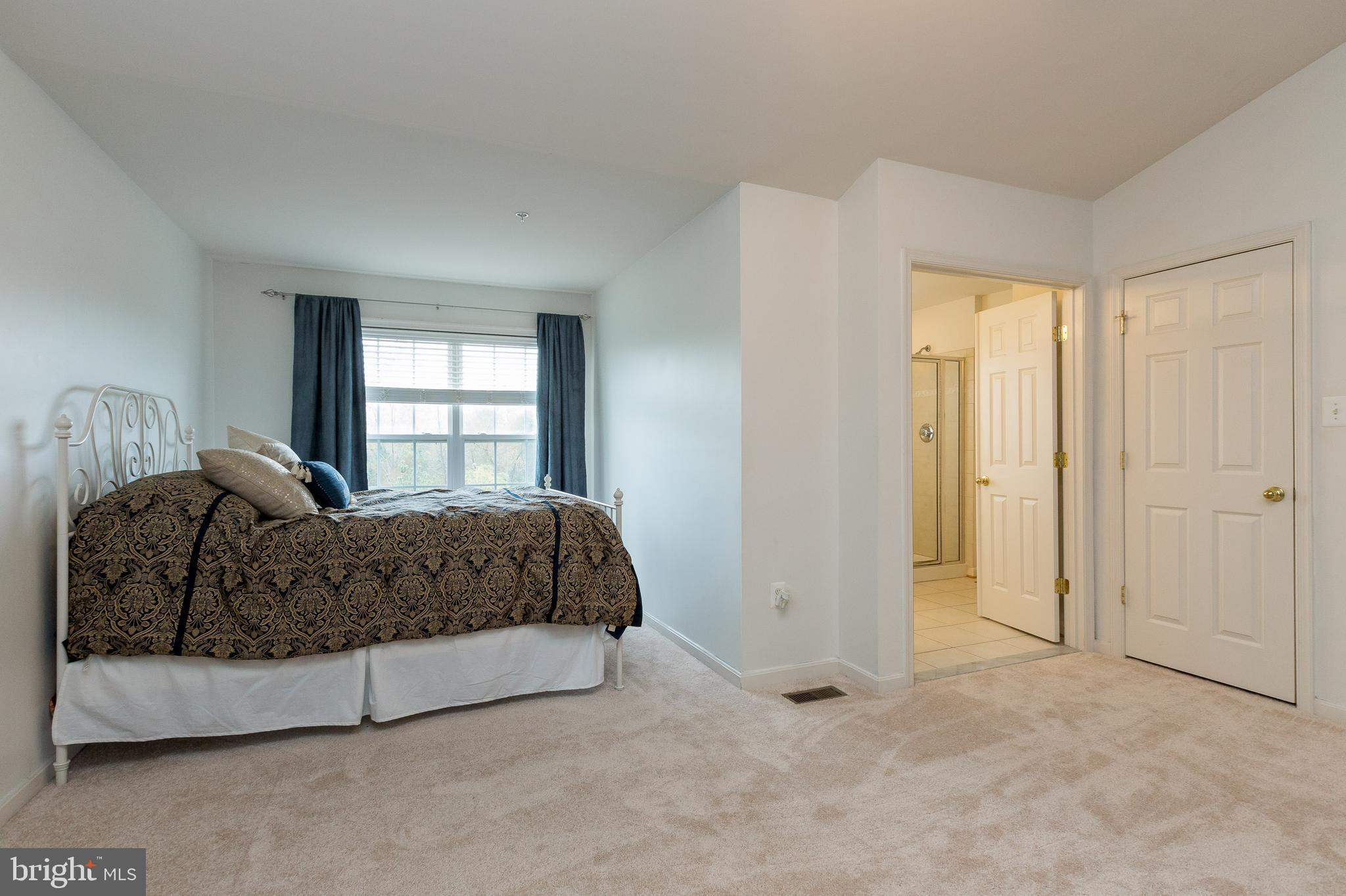 240 Timber View Court Frederick, MD 21702 - Photo 19 of 37 Owner's Suite
