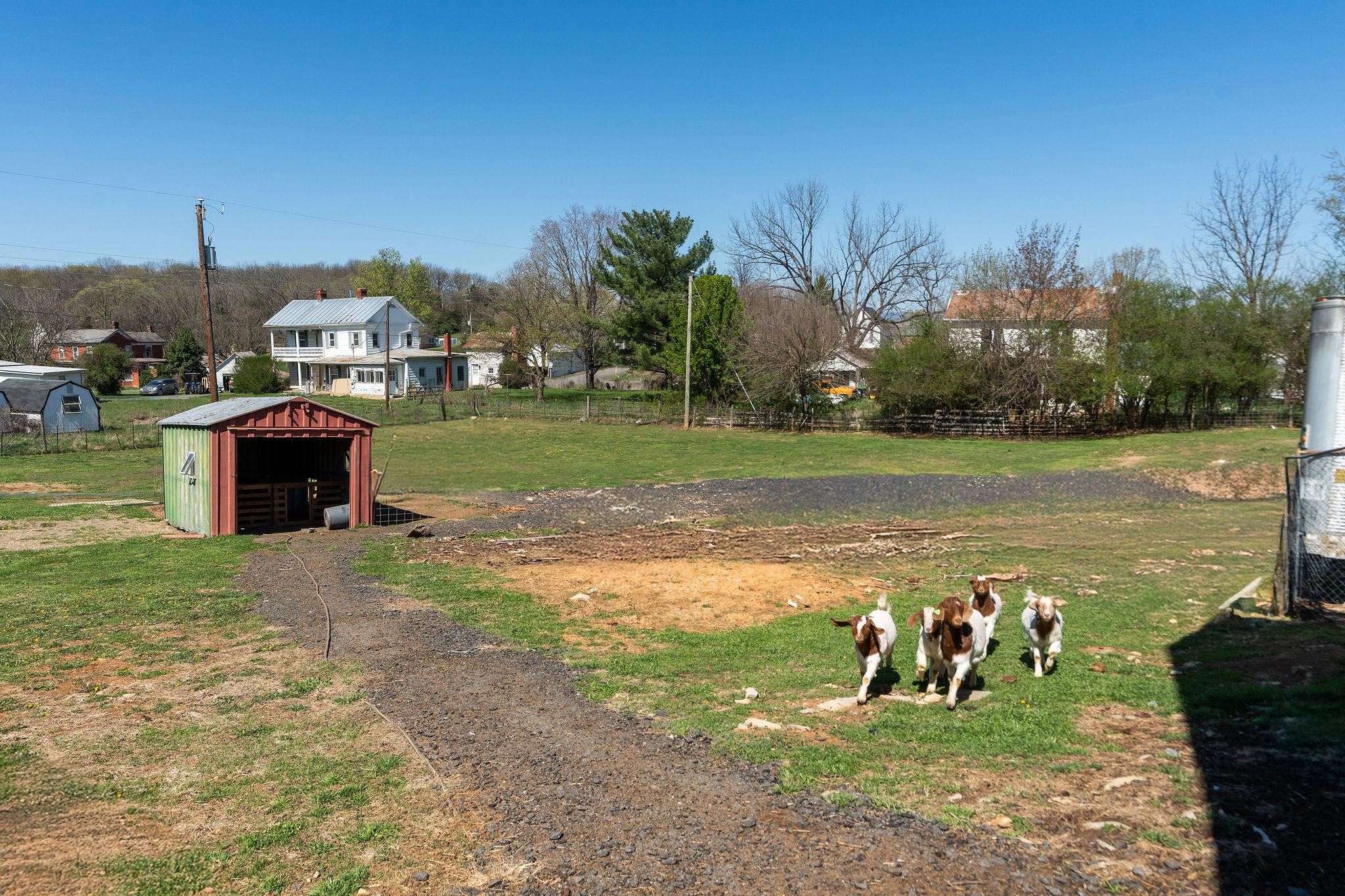 2061 Cecil Wampler Road Mount Crawford, VA 22841 - Photo 49 of 70