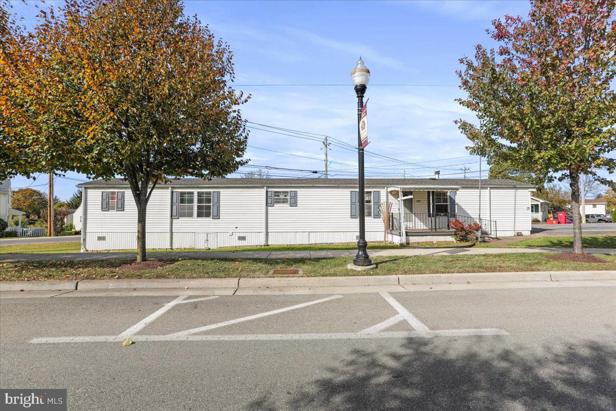 a view of a playground with a road and large trees