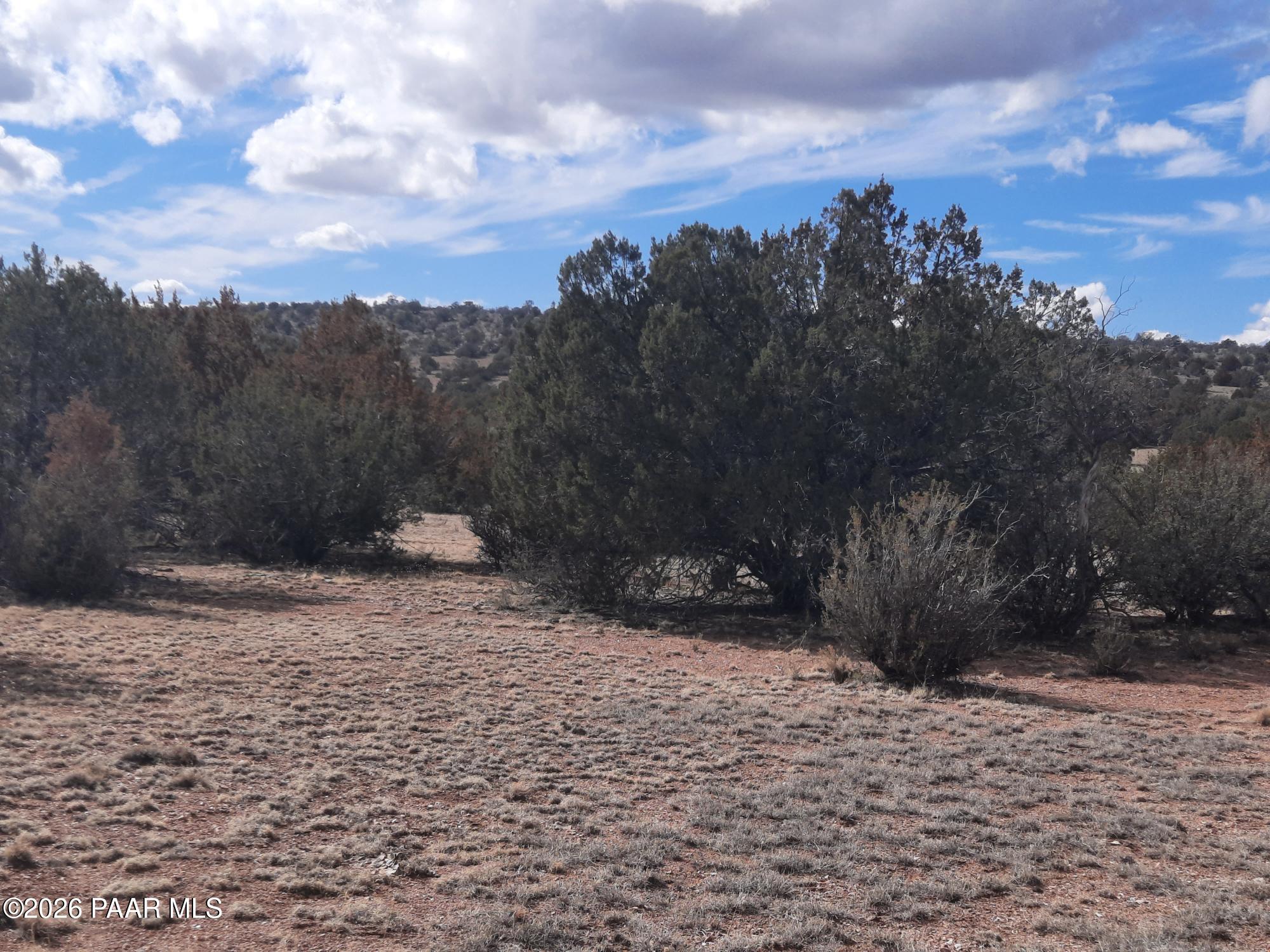 243 B Chosen Few Road Seligman, AZ 86337 - Photo 4 of 12 a view of a dry yard with wooden fence