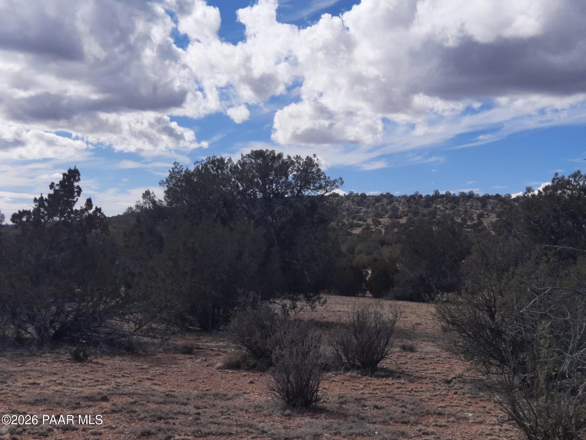 243 B Chosen Few Road Seligman, AZ 86337 - Photo 5 of 12 a view of a backyard