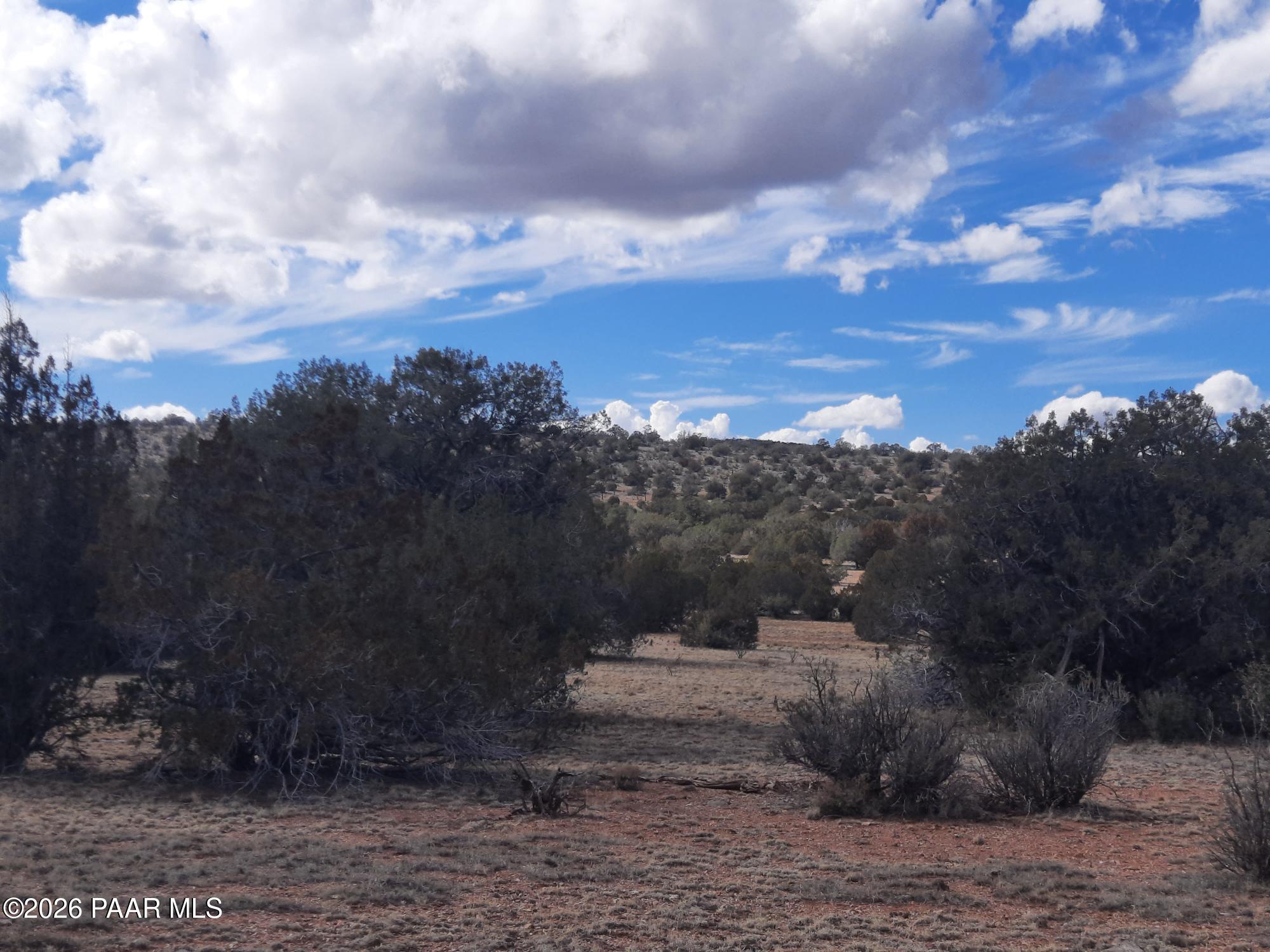 243 B Chosen Few Road Seligman, AZ 86337 - Photo 7 of 12 a view of a yard with wooden fence