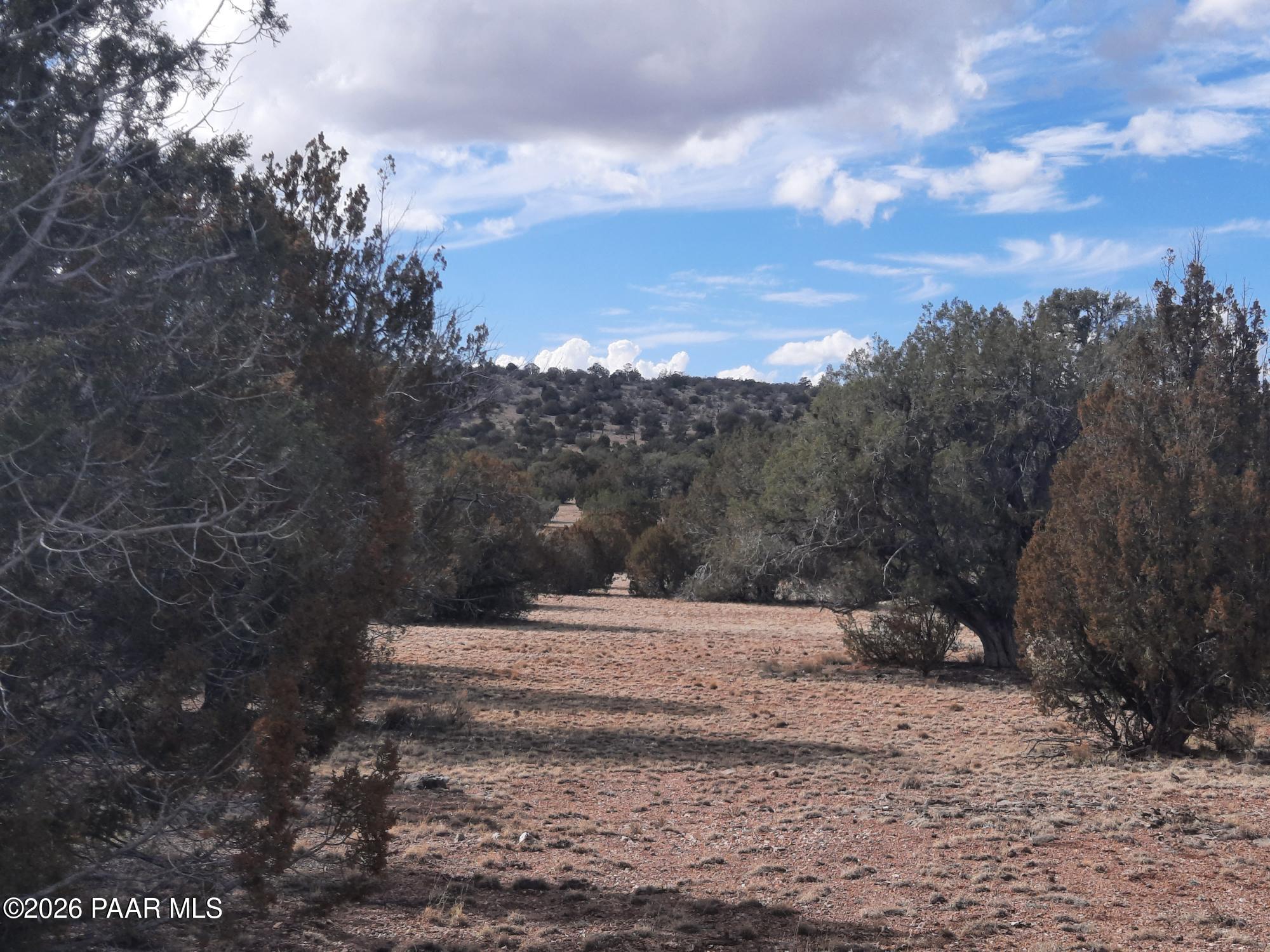 243 B Chosen Few Road Seligman, AZ 86337 - Photo 8 of 12 a view of outdoor space with mountain view