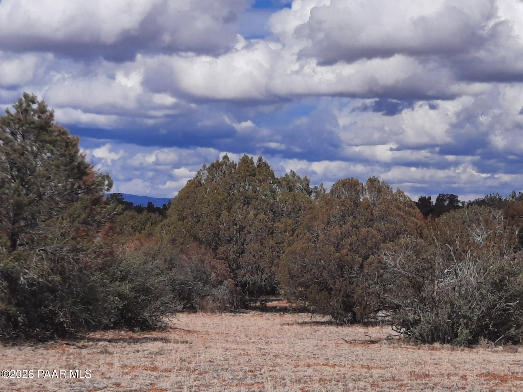243 B Chosen Few Road Seligman, AZ 86337 - Photo 9 of 12 a view of a yard