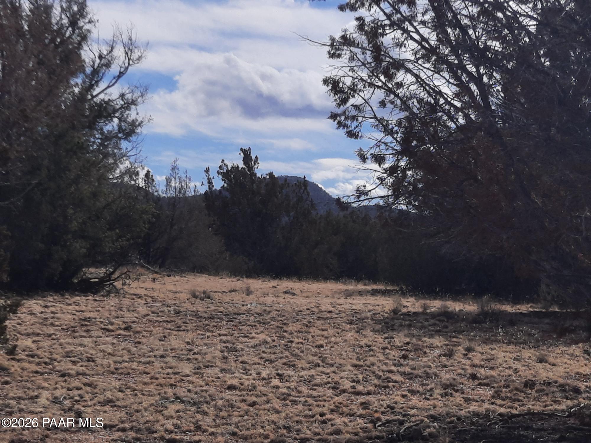 243 B Chosen Few Road Seligman, AZ 86337 - Photo 10 of 12