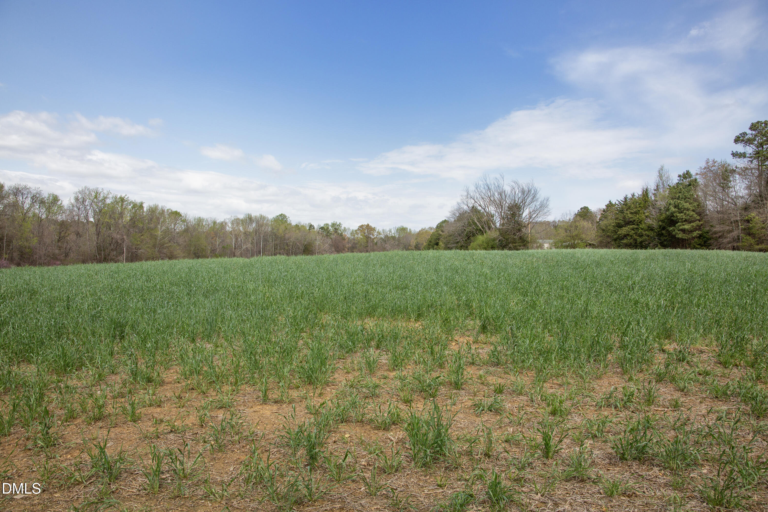 0 Tatum Road Roxboro, NC 27574 - Photo 2 of 21 Tatum Road 8
