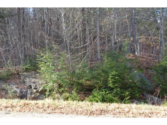 0 Woods Road West, Unit LOT #33 Ludlow, VT 05149 - Photo 12 of 22