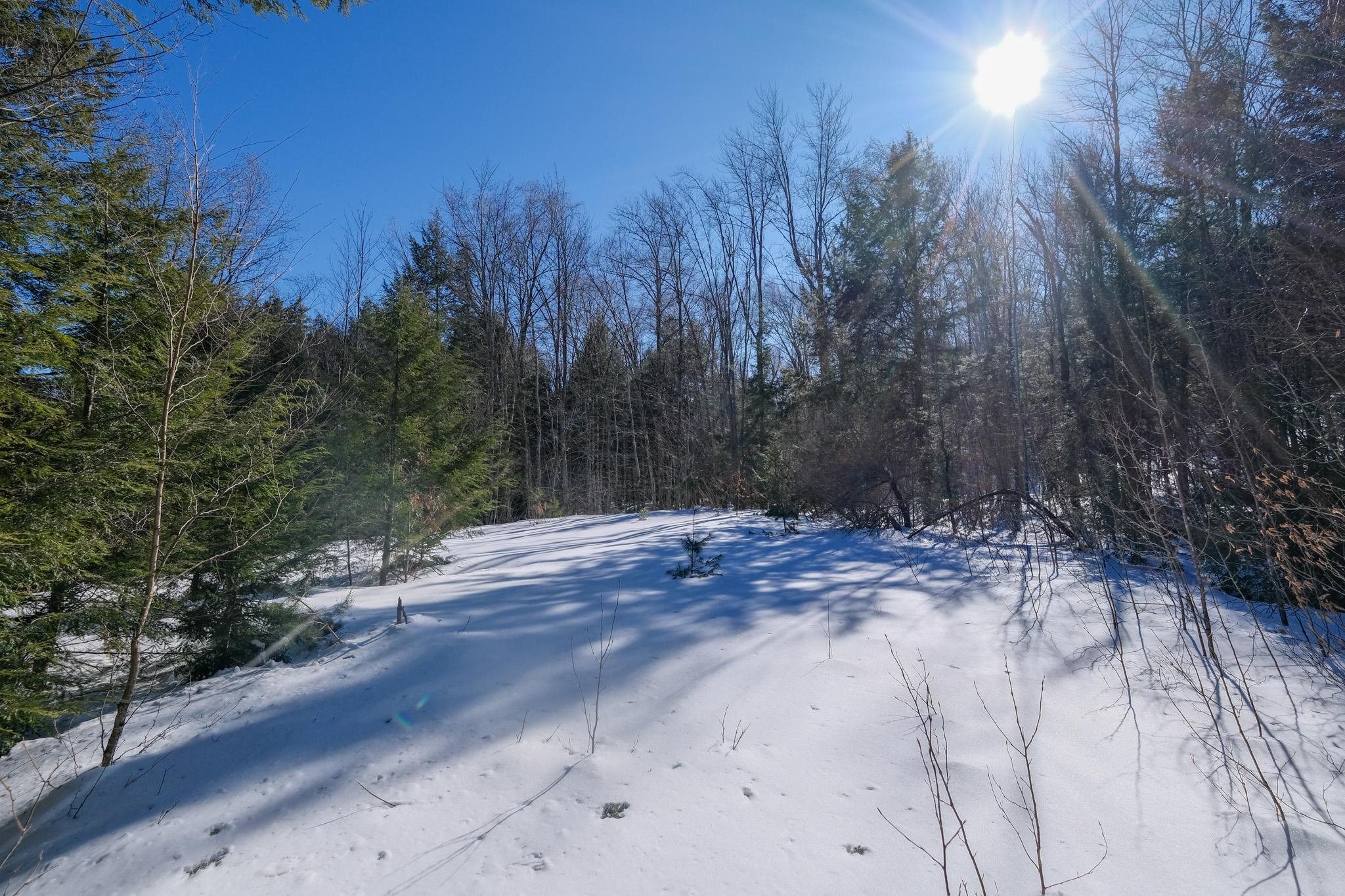0 Woods Road West, Unit LOT #33 Ludlow, VT 05149 - Photo 4 of 22