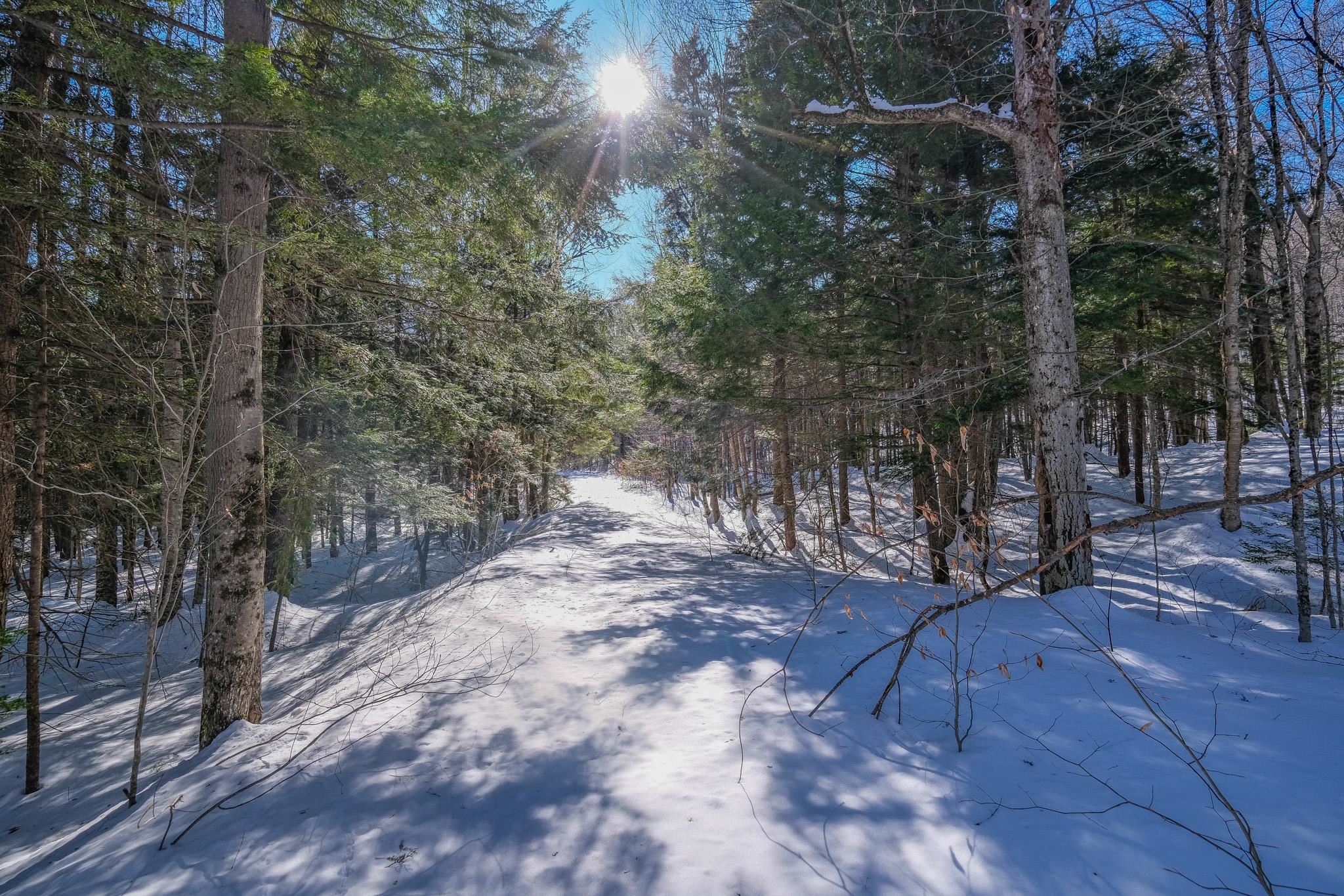 0 Woods Road West, Unit LOT #33 Ludlow, VT 05149 - Photo 5 of 22