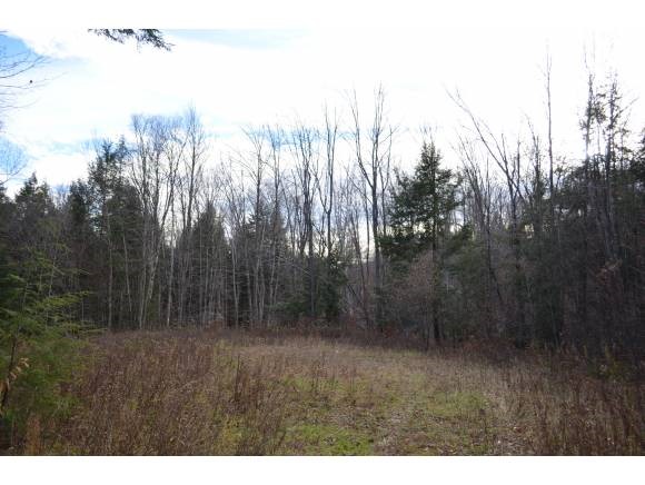 0 Woods Road West, Unit LOT #33 Ludlow, VT 05149 - Photo 9 of 22