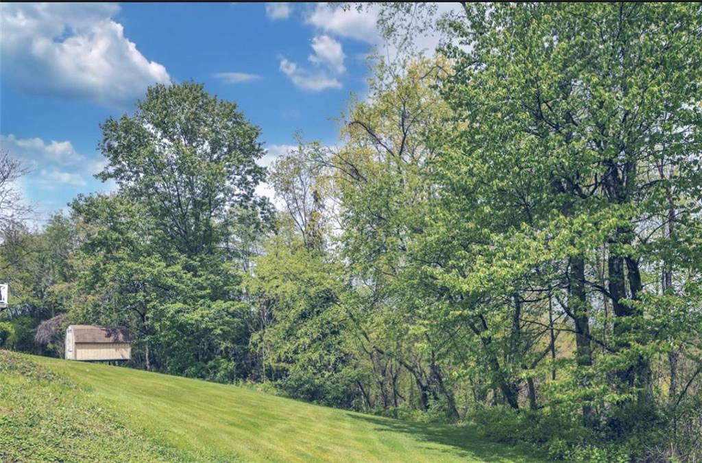 227 Brewer Road Freedom, PA 15042 - Photo 27 of 34 a view of a big yard with large trees
