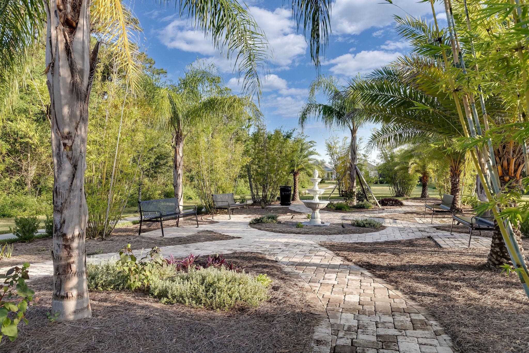 145 Paranza Trace St. Augustine, FL 32095 - Photo 33 of 34 a view of a yard with plants and trees