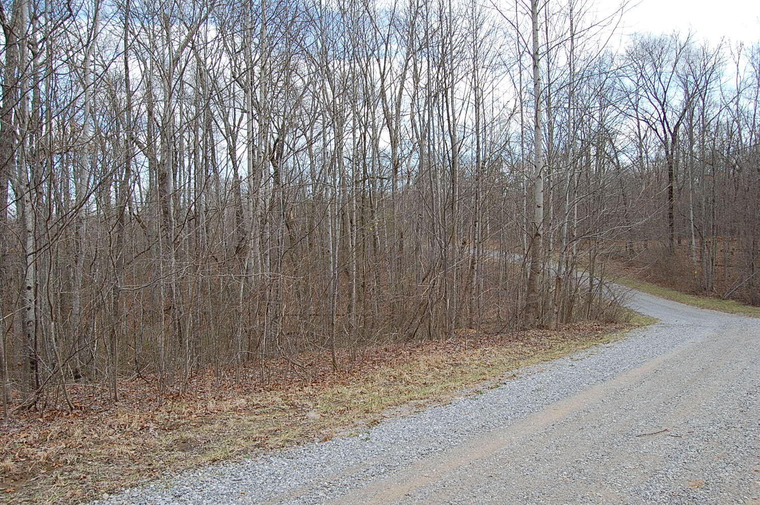 13 Green Forest Road Dunlap, TN 37327 - Photo 30 of 35 Gallery Image 30