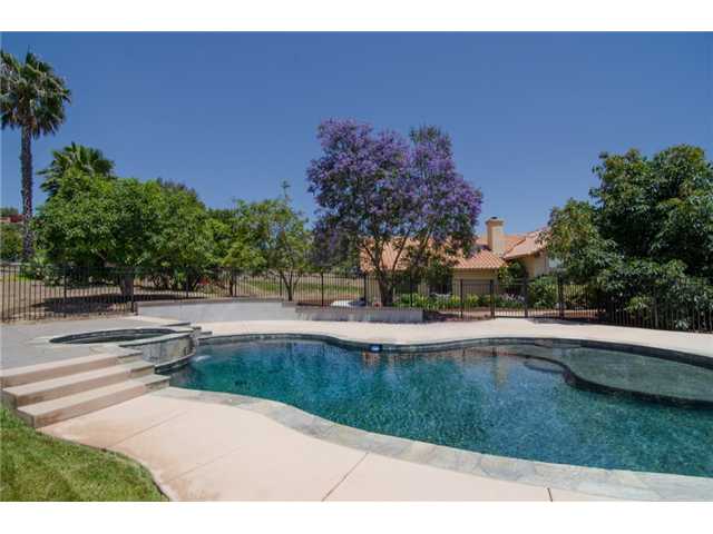 3590 Los Hermanos Road Fallbrook, CA 92028 - Photo 9 of 12 Pool and Spa
