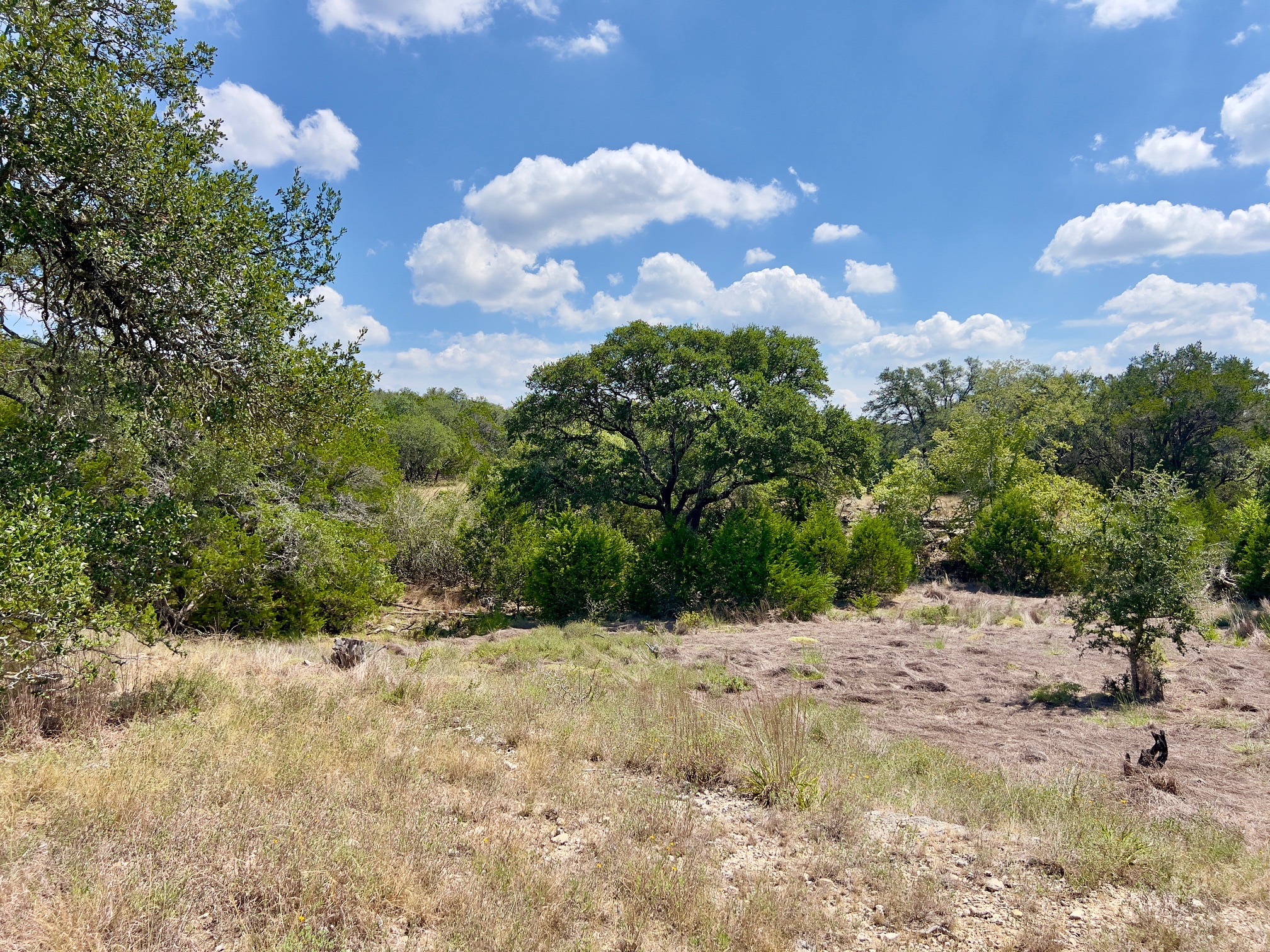 992 Hines Br Road Blanco, TX 78606 - Photo 19 of 23 lands slops to wet
weather creek