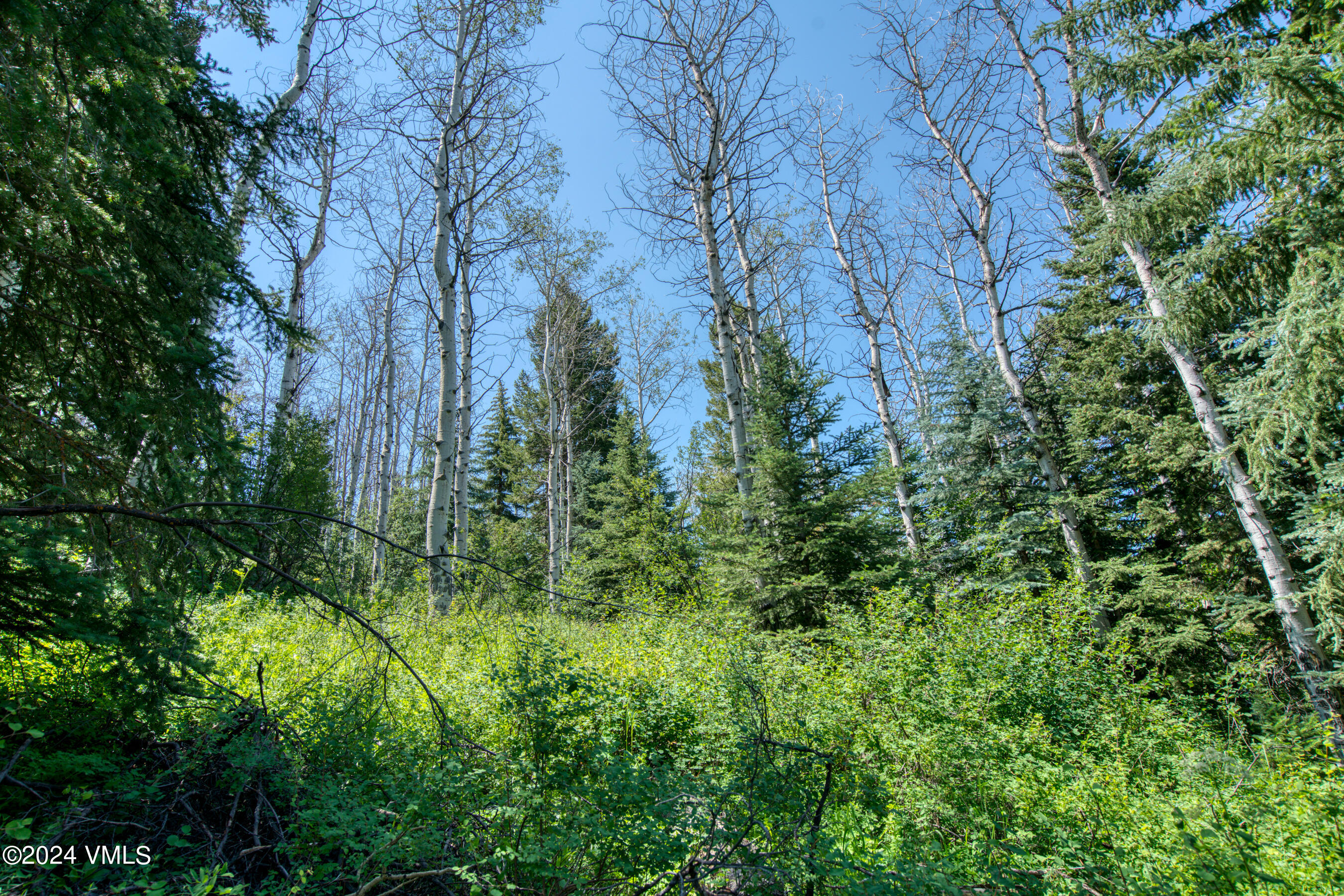 92 Sunquist Road Edwards, CO 81632 - Photo 15 of 39 a view of a garden