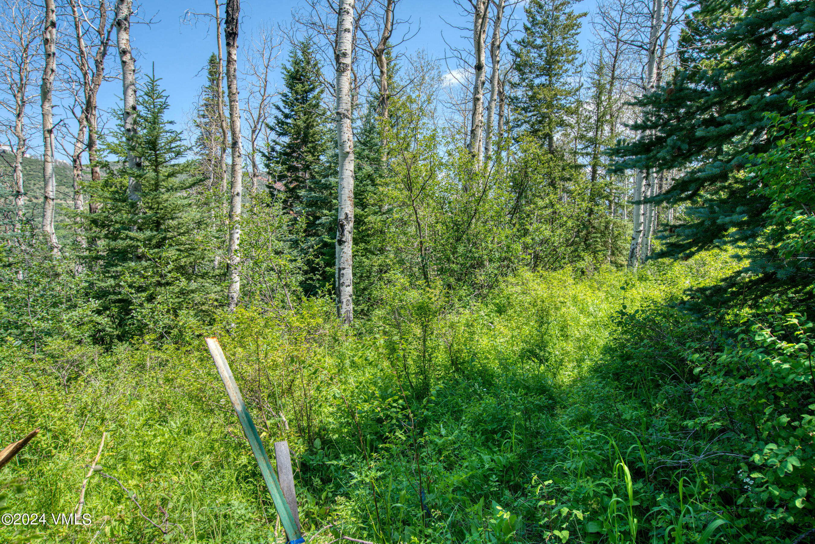 92 Sunquist Road Edwards, CO 81632 - Photo 19 of 39