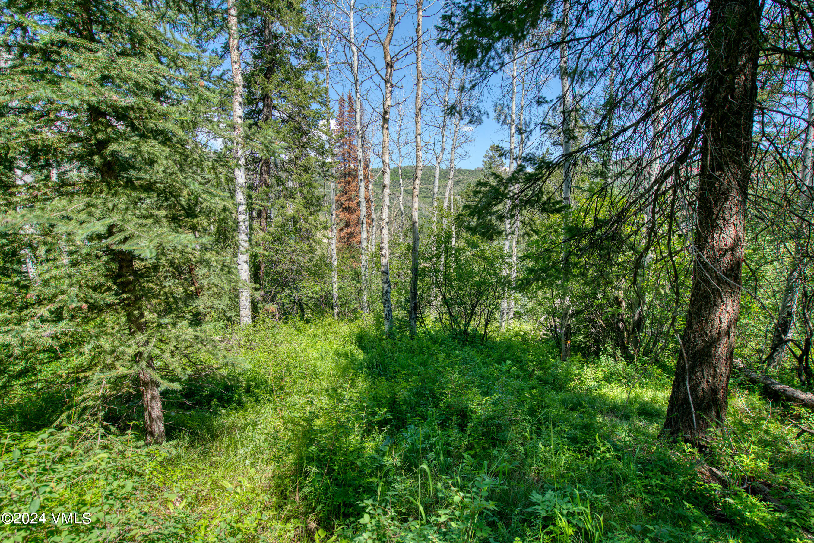 92 Sunquist Road Edwards, CO 81632 - Photo 20 of 39 a view of a garden