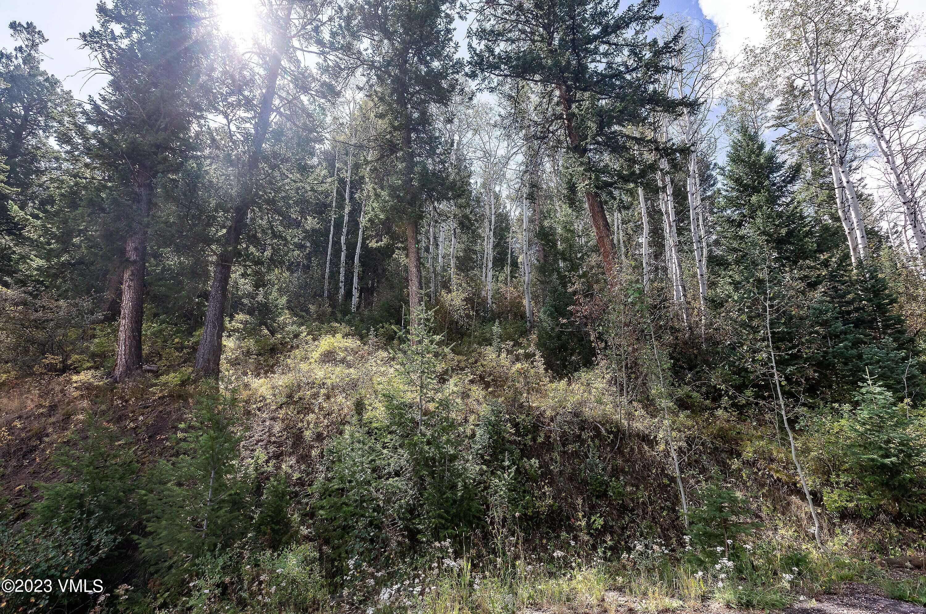 92 Sunquist Road Edwards, CO 81632 - Photo 2 of 39 a view of a forest with trees
