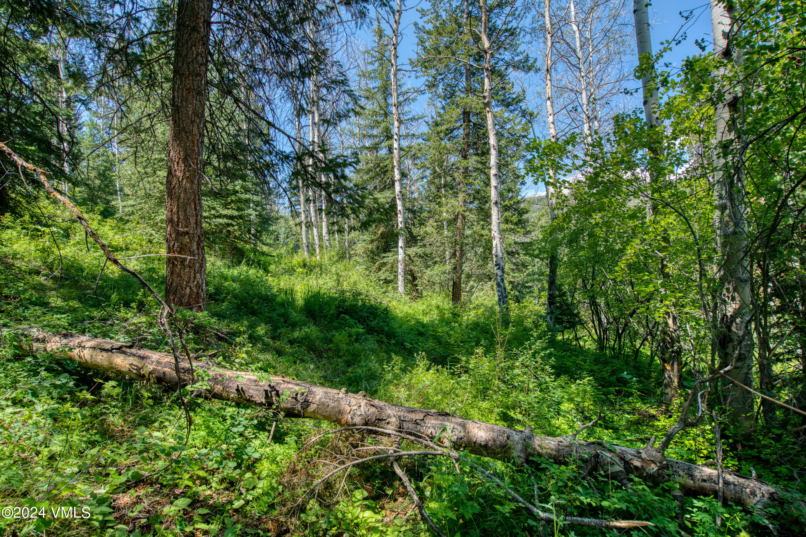 92 Sunquist Road Edwards, CO 81632 - Photo 22 of 39 a backyard of a building with lots of trees