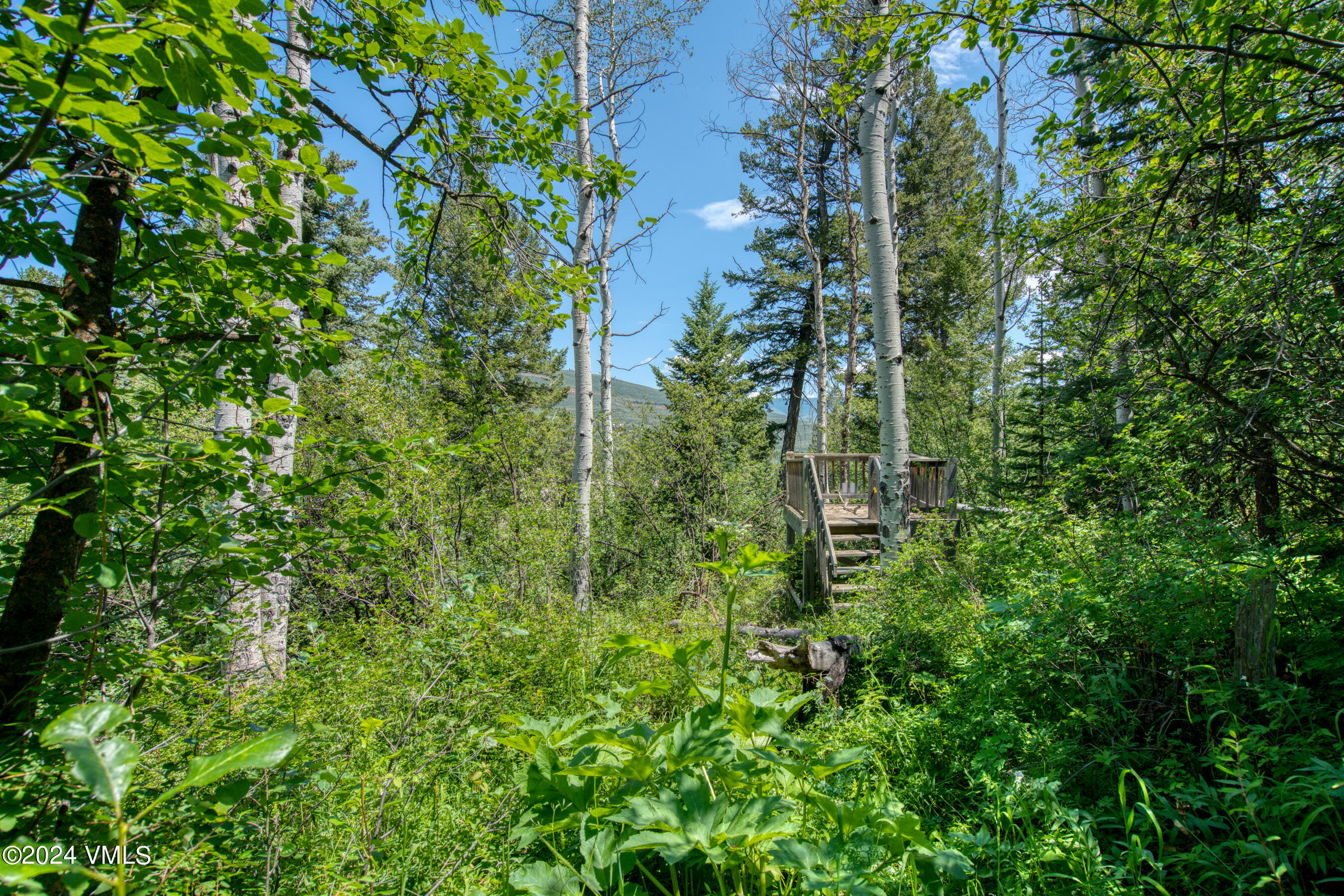 92 Sunquist Road Edwards, CO 81632 - Photo 23 of 39 a view of a garden