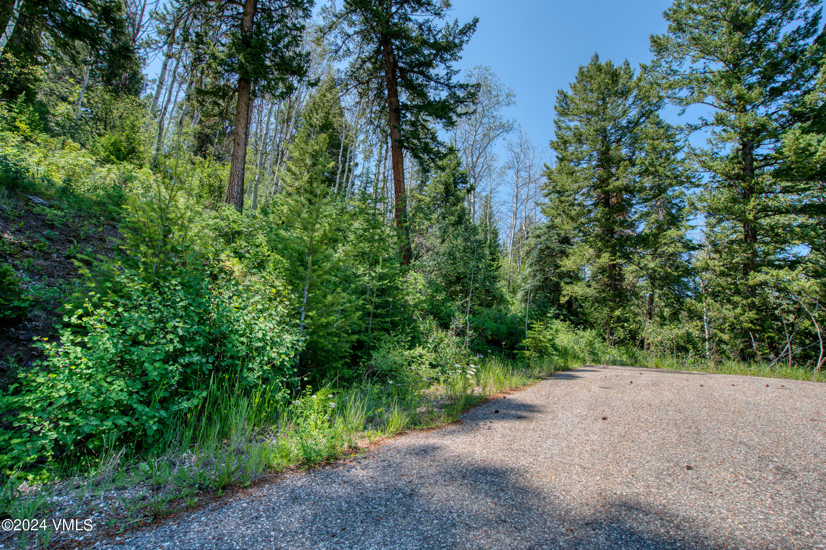 92 Sunquist Road Edwards, CO 81632 - Photo 24 of 39 a view of a road with plants and trees