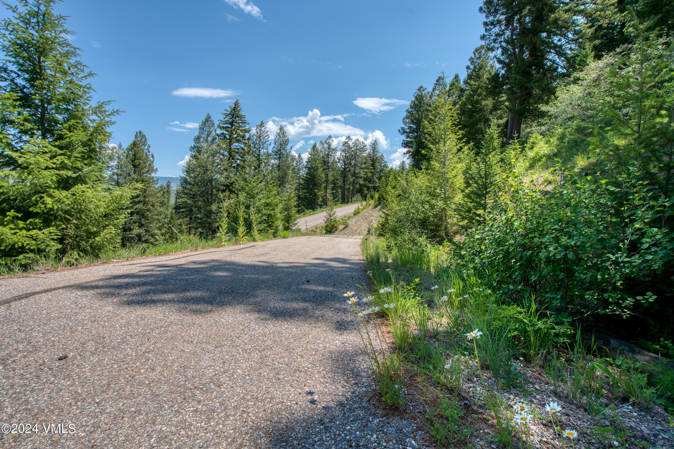 92 Sunquist Road Edwards, CO 81632 - Photo 25 of 39 a view of a yard with a tree