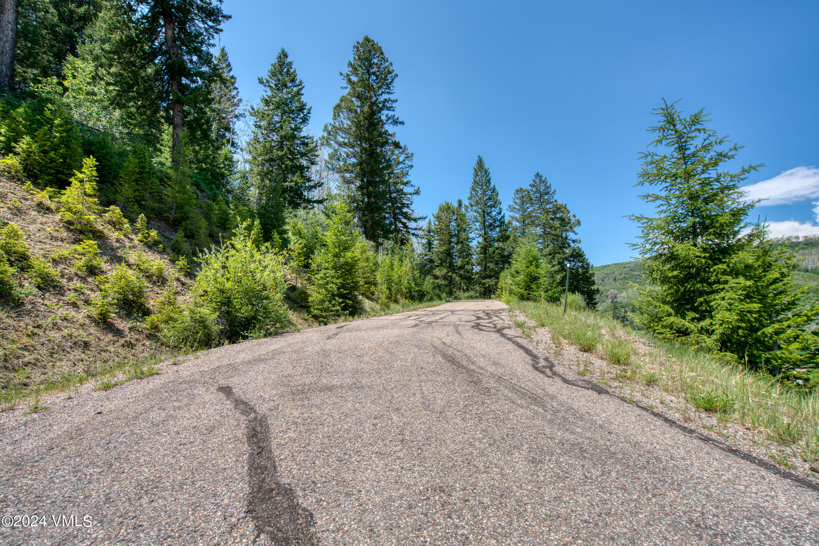 92 Sunquist Road Edwards, CO 81632 - Photo 26 of 39 a view of a plants and trees in the background