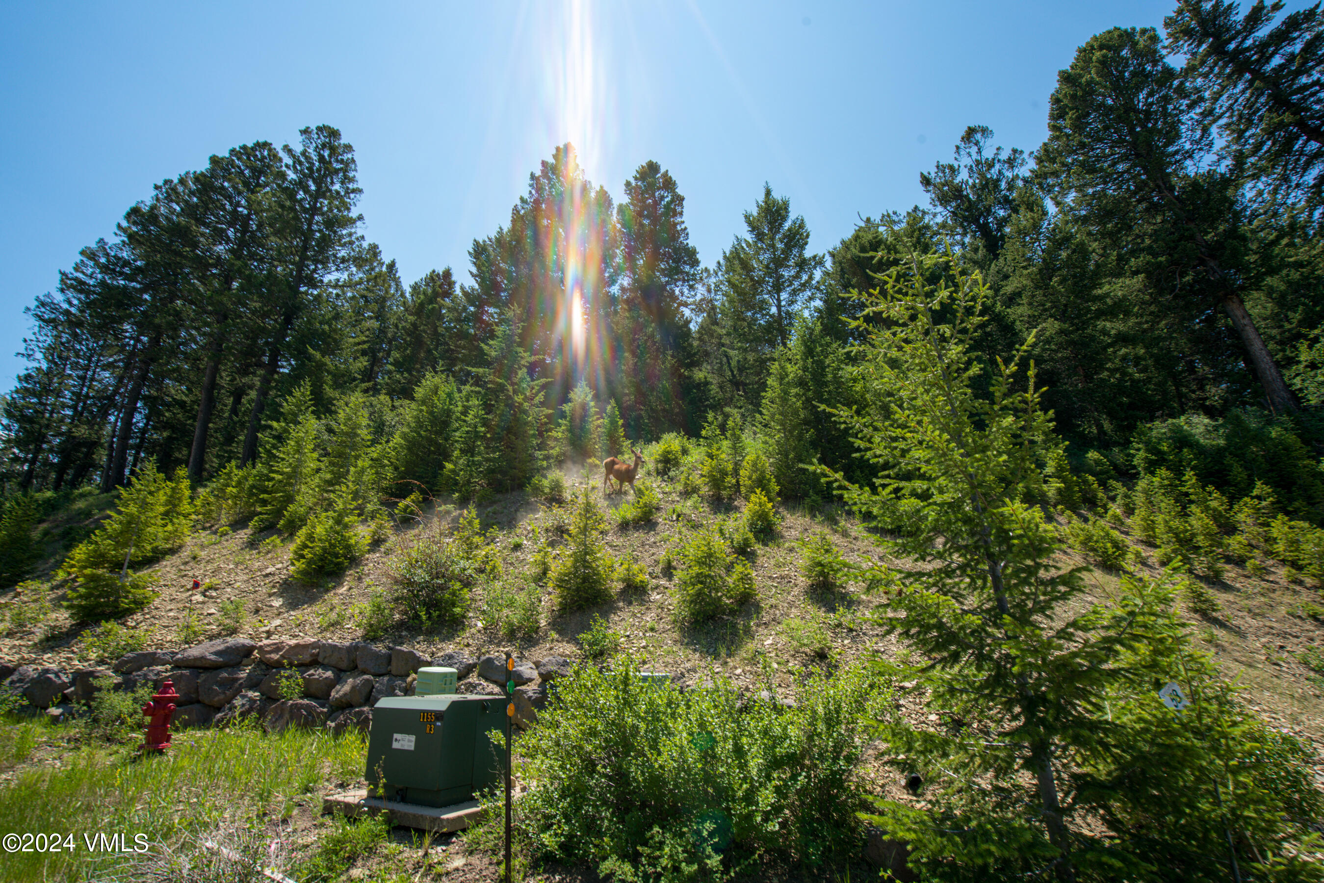 92 Sunquist Road Edwards, CO 81632 - Photo 27 of 39 a view of a house with a lush green forest