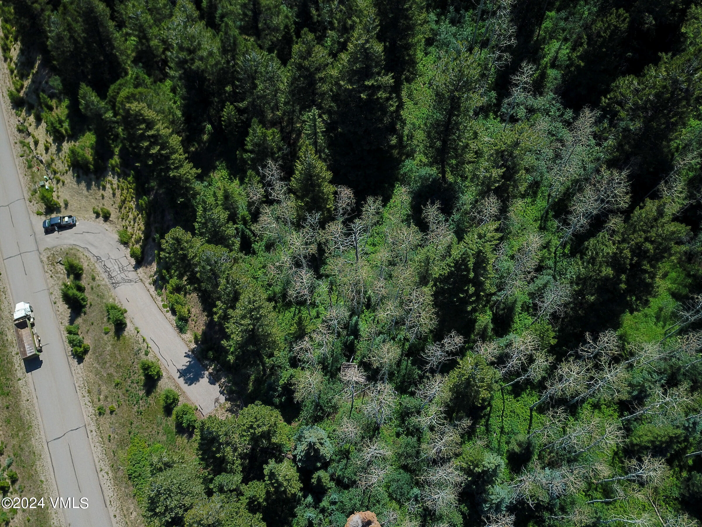 92 Sunquist Road Edwards, CO 81632 - Photo 29 of 39 an aerial view of a forest with houses