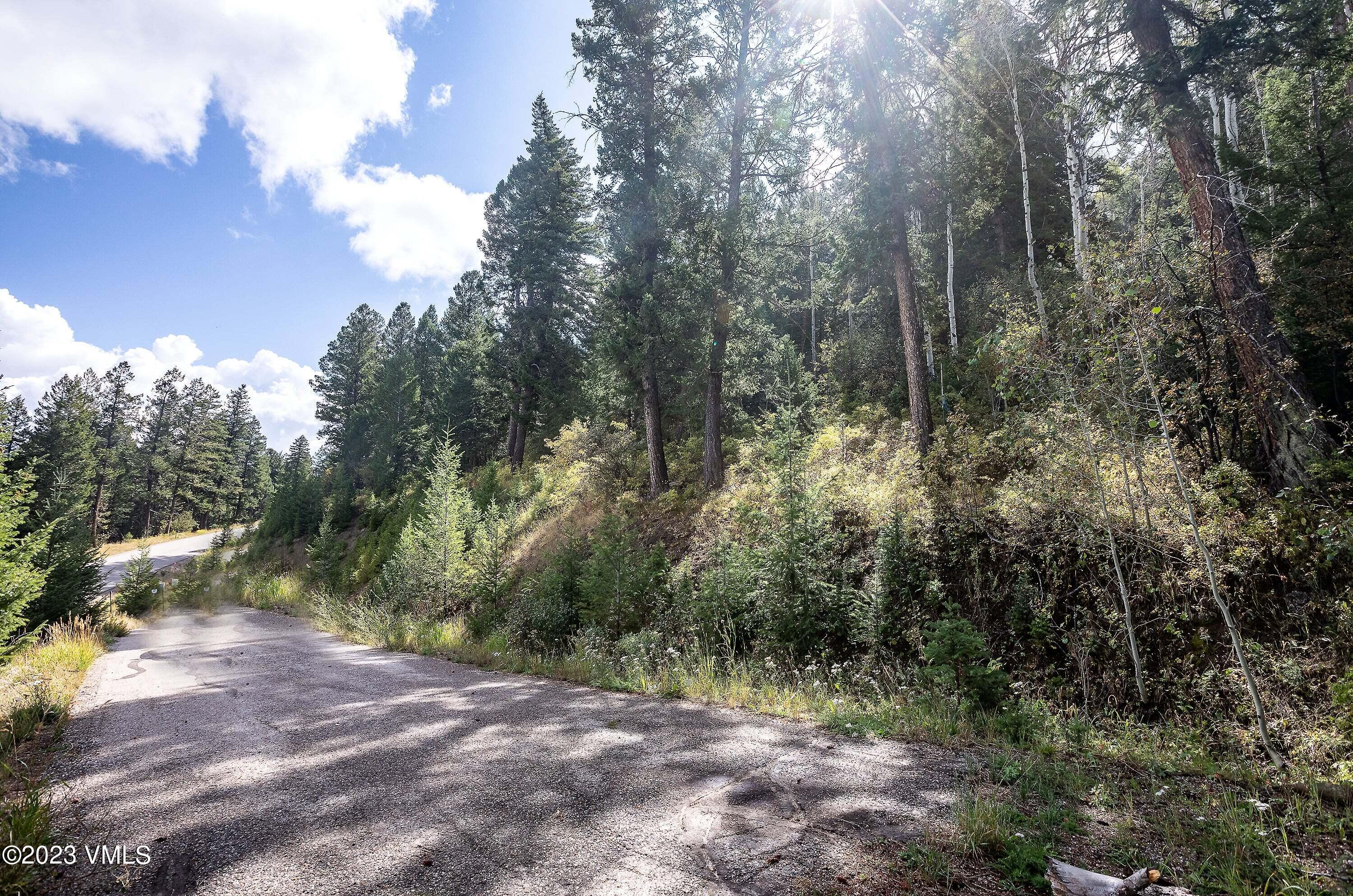92 Sunquist Road Edwards, CO 81632 - Photo 3 of 39 a view of a forest with trees in the background