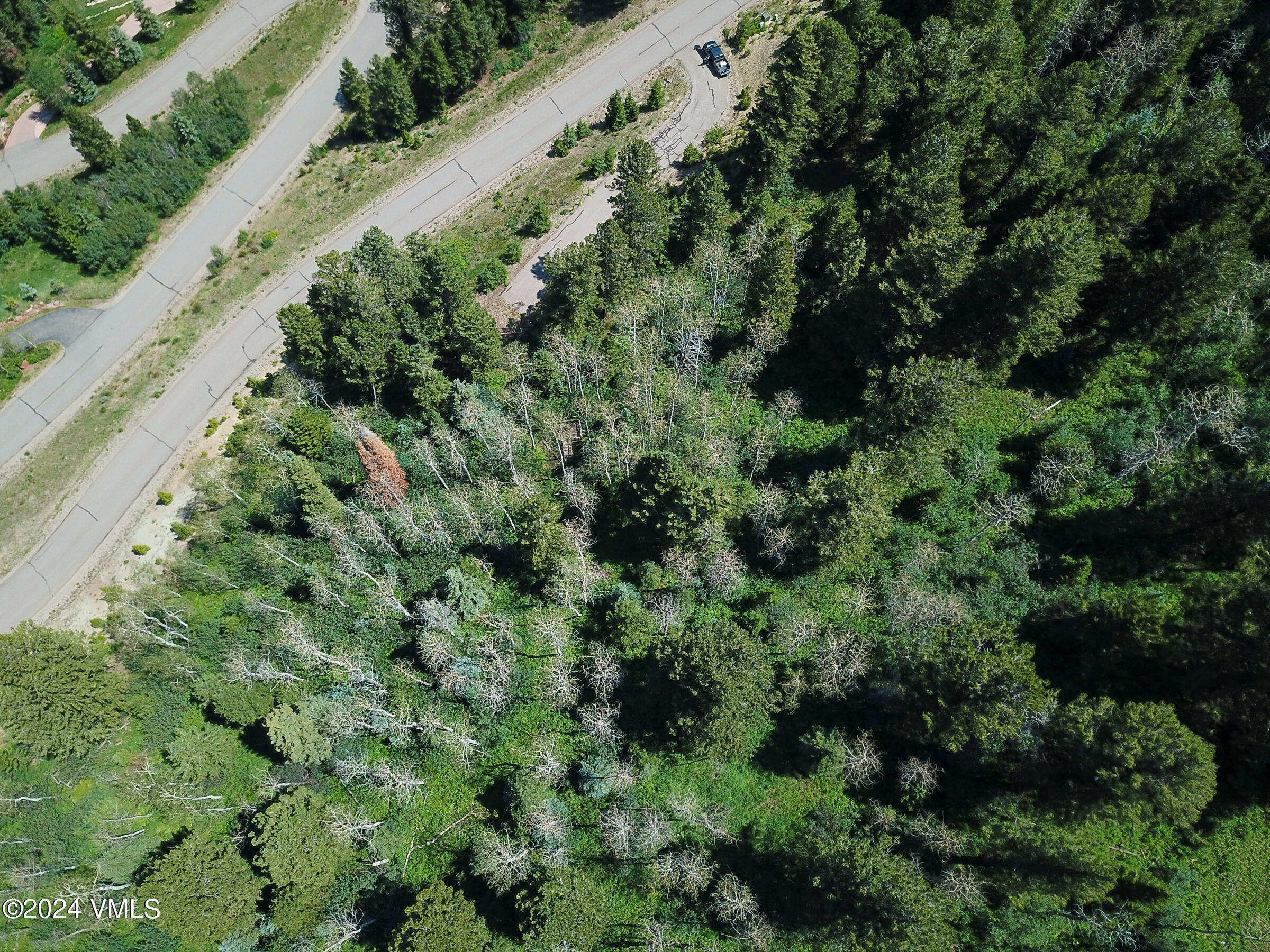 92 Sunquist Road Edwards, CO 81632 - Photo 31 of 39 an aerial view of a forest with houses