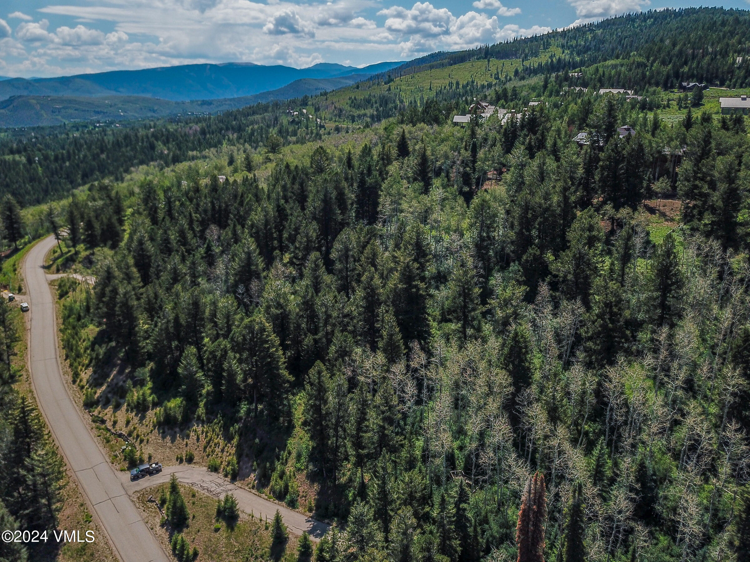 92 Sunquist Road Edwards, CO 81632 - Photo 34 of 39 a view of a forest with a forest
