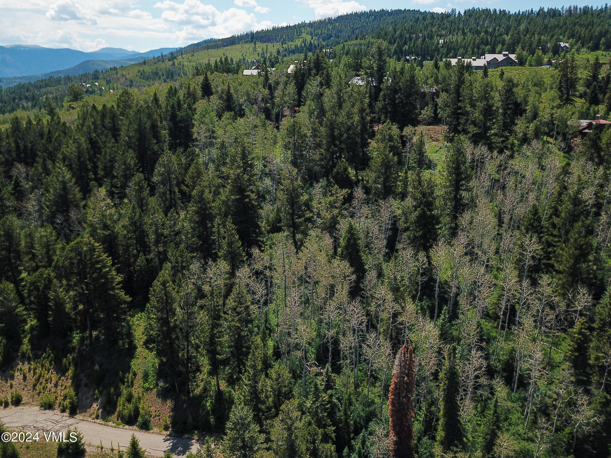 92 Sunquist Road Edwards, CO 81632 - Photo 35 of 39 a view of a forest with a street