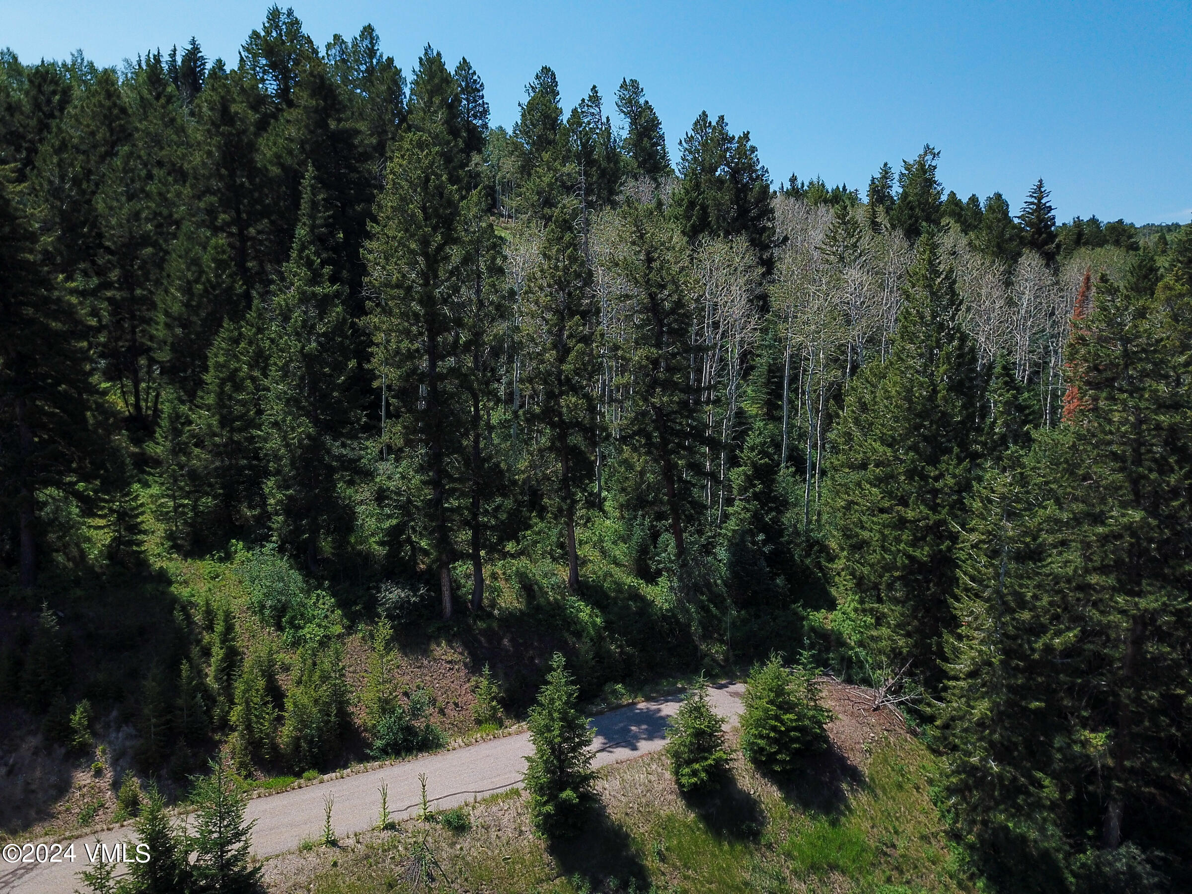92 Sunquist Road Edwards, CO 81632 - Photo 37 of 39 a view of a forest with a street