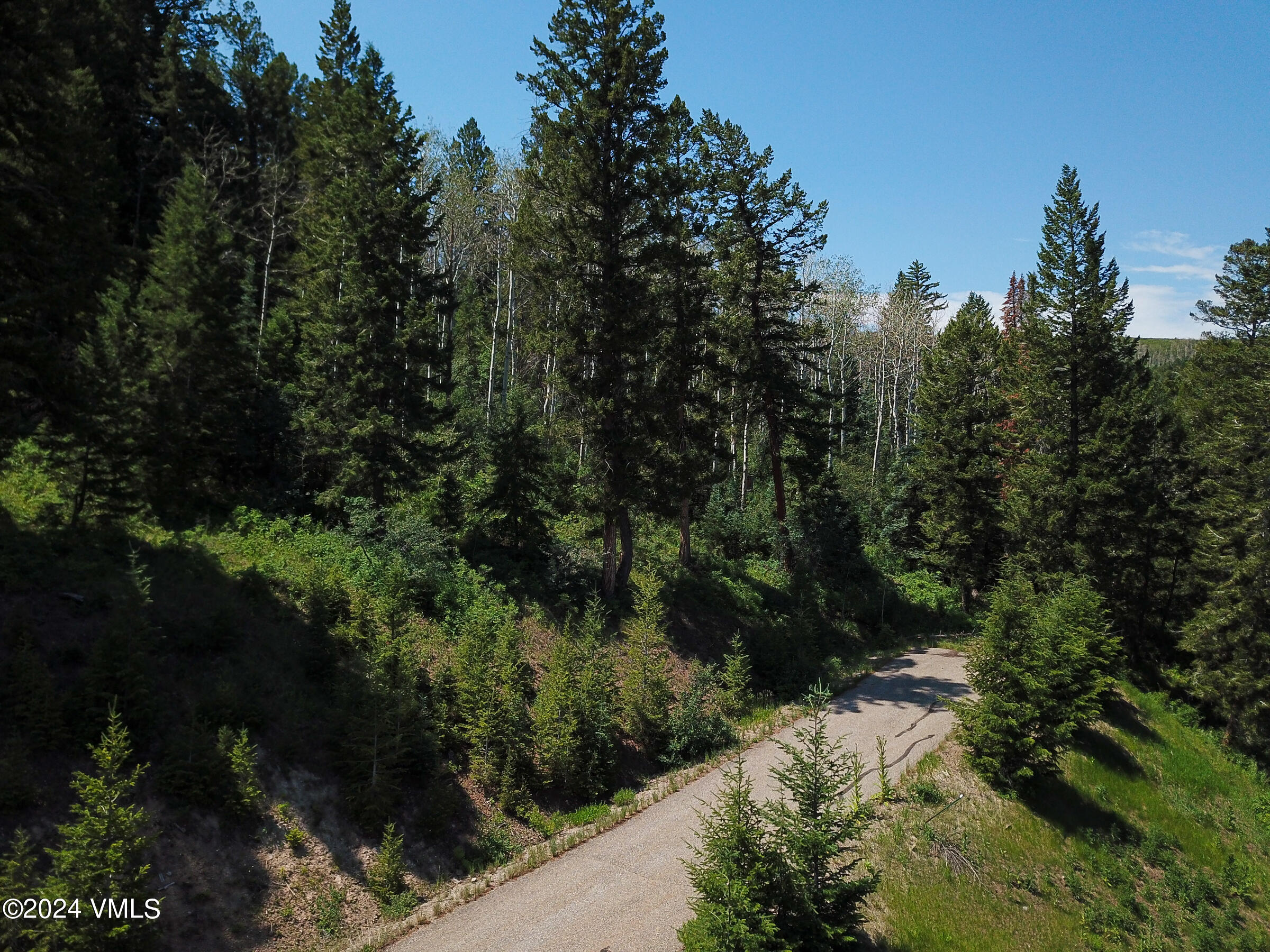 92 Sunquist Road Edwards, CO 81632 - Photo 38 of 39 a view of a forest with a yard