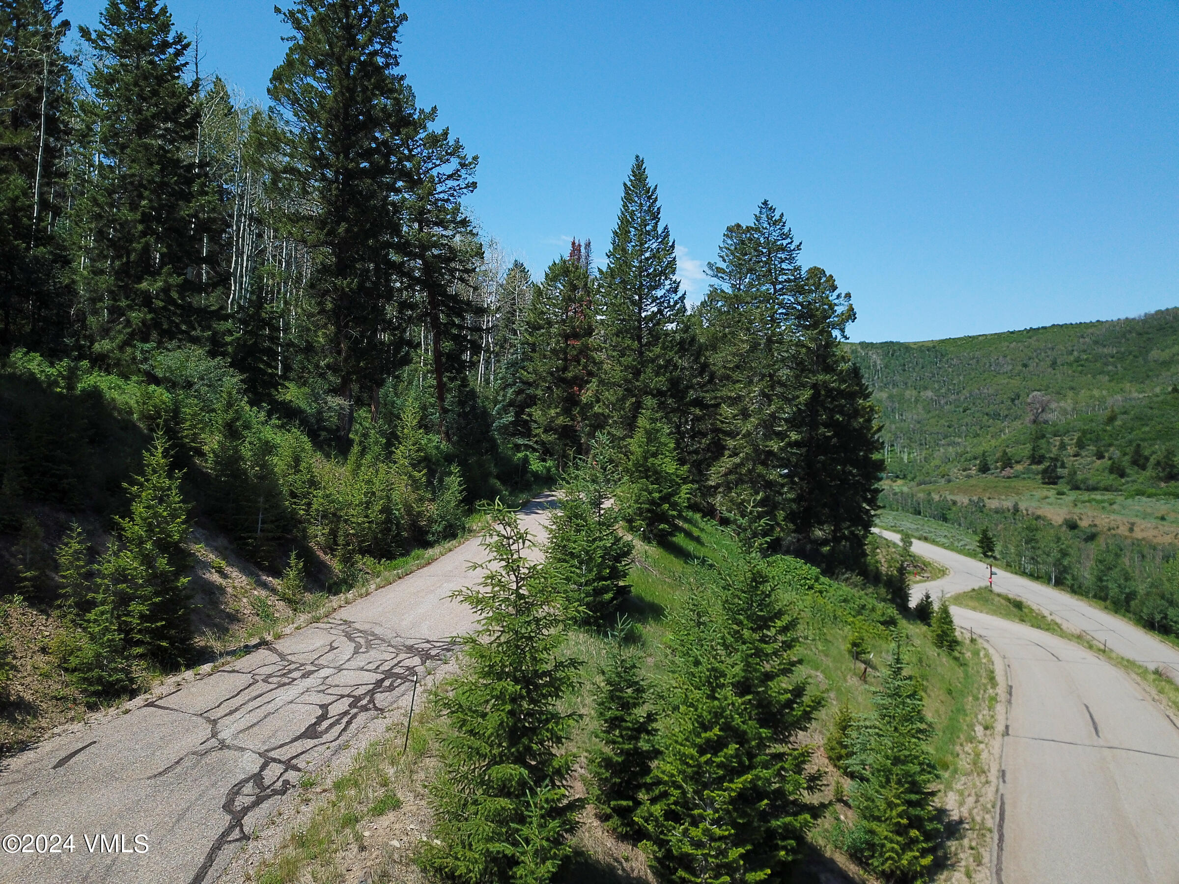 92 Sunquist Road Edwards, CO 81632 - Photo 39 of 39 a view of a pathway both side of green field