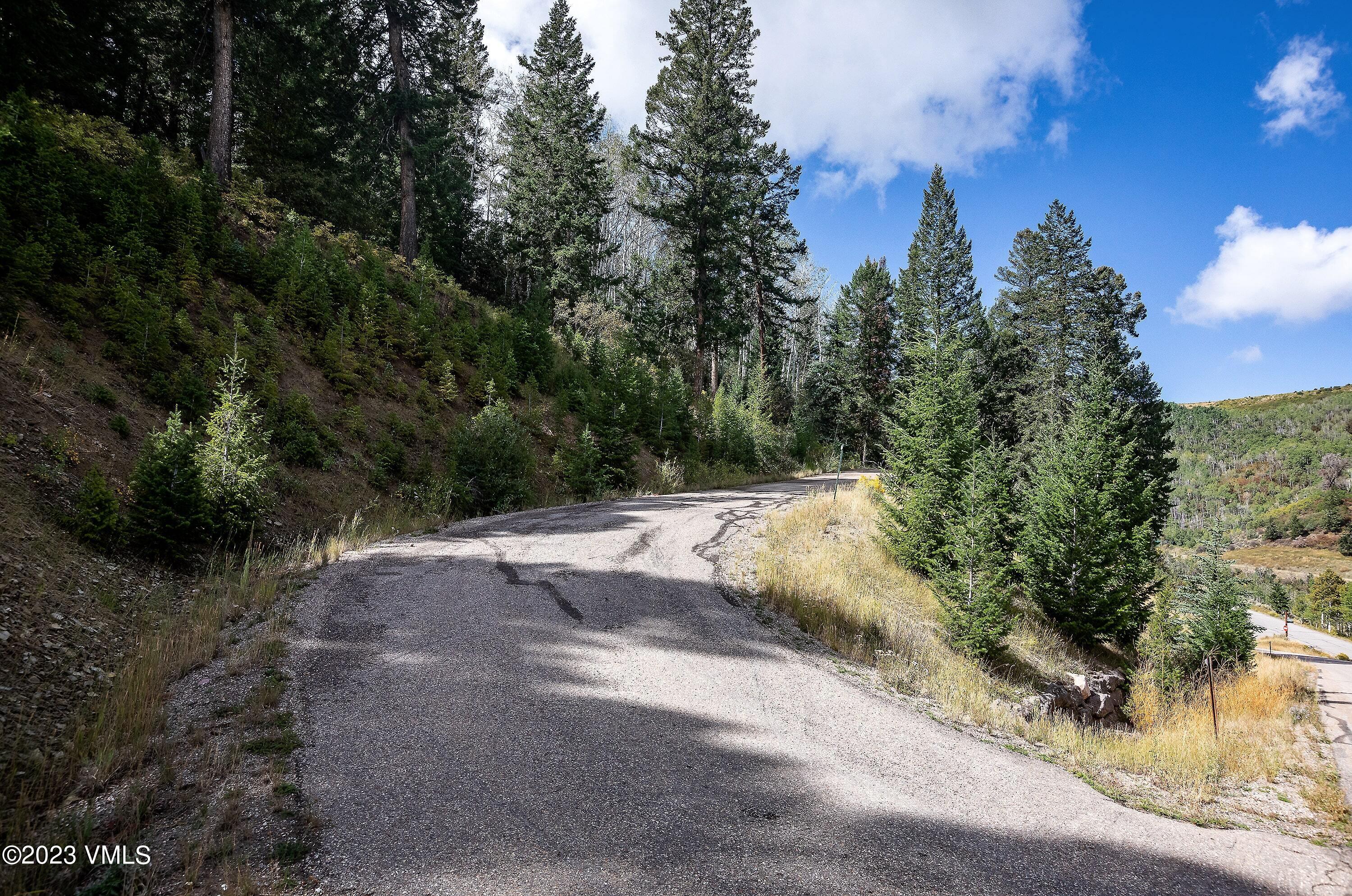 92 Sunquist Road Edwards, CO 81632 - Photo 5 of 39 a view of a yard with plants and trees