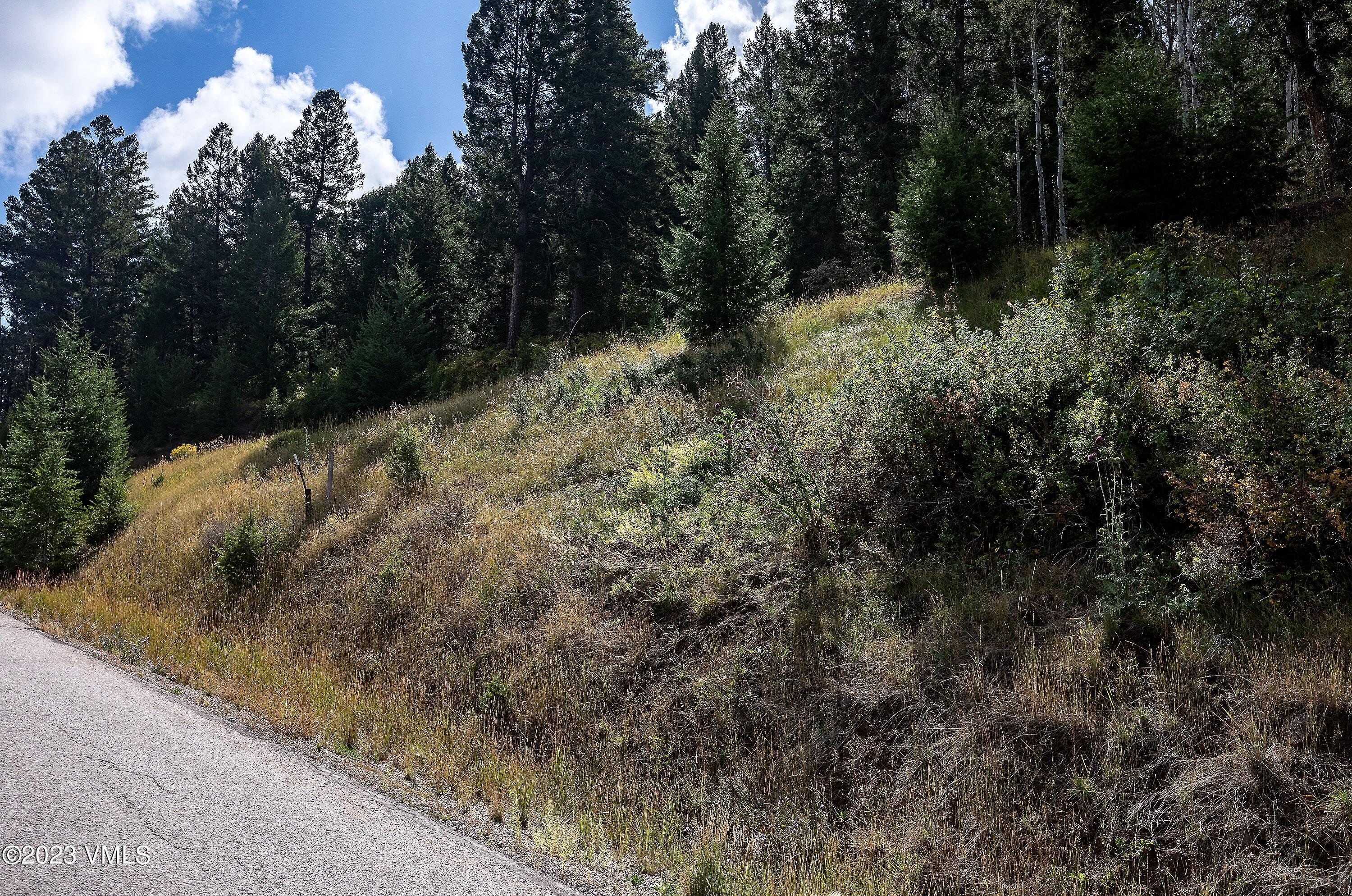 92 Sunquist Road Edwards, CO 81632 - Photo 6 of 39 a view of a forest with trees in the background