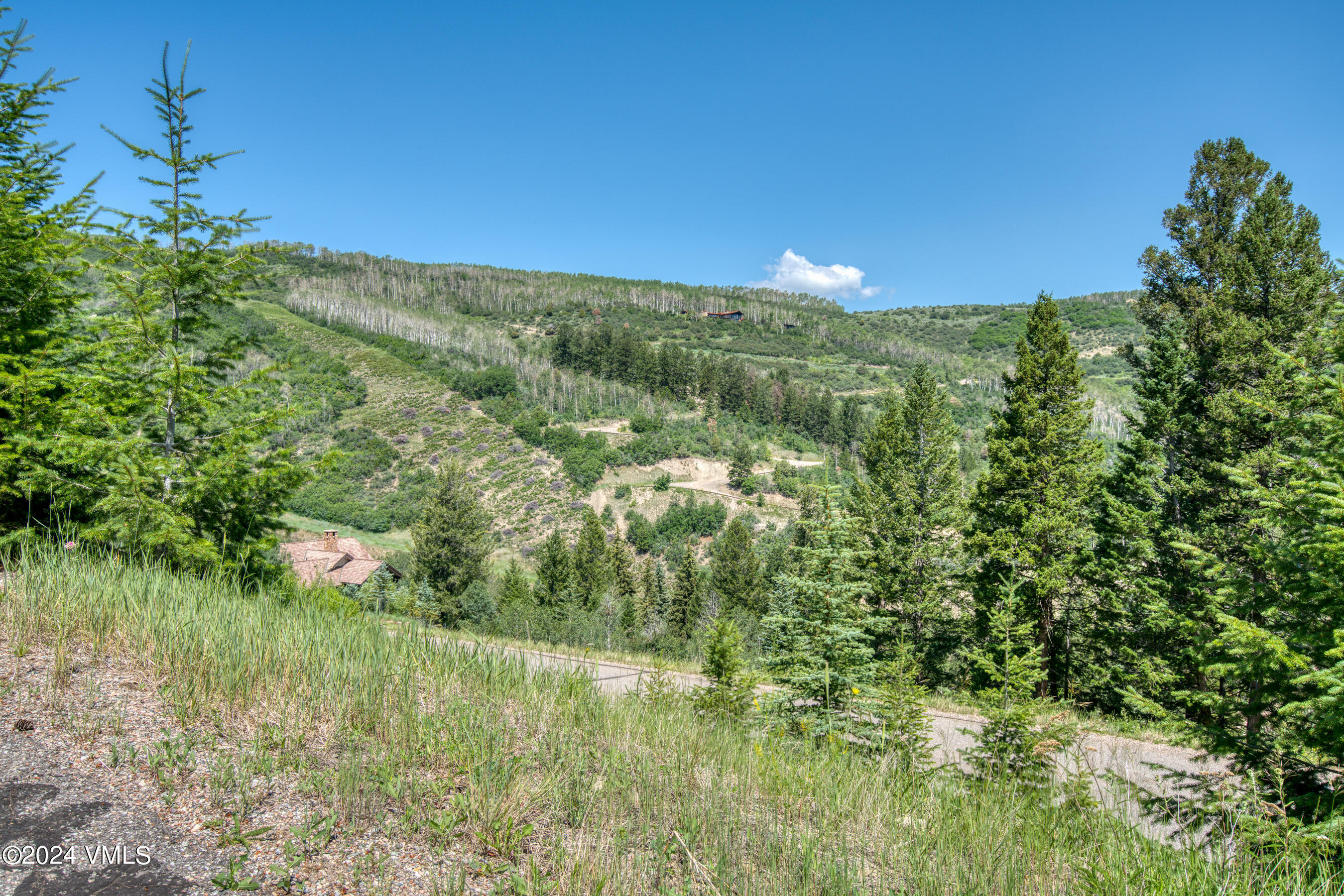 92 Sunquist Road Edwards, CO 81632 - Photo 7 of 39 a view of a lush green space with sea